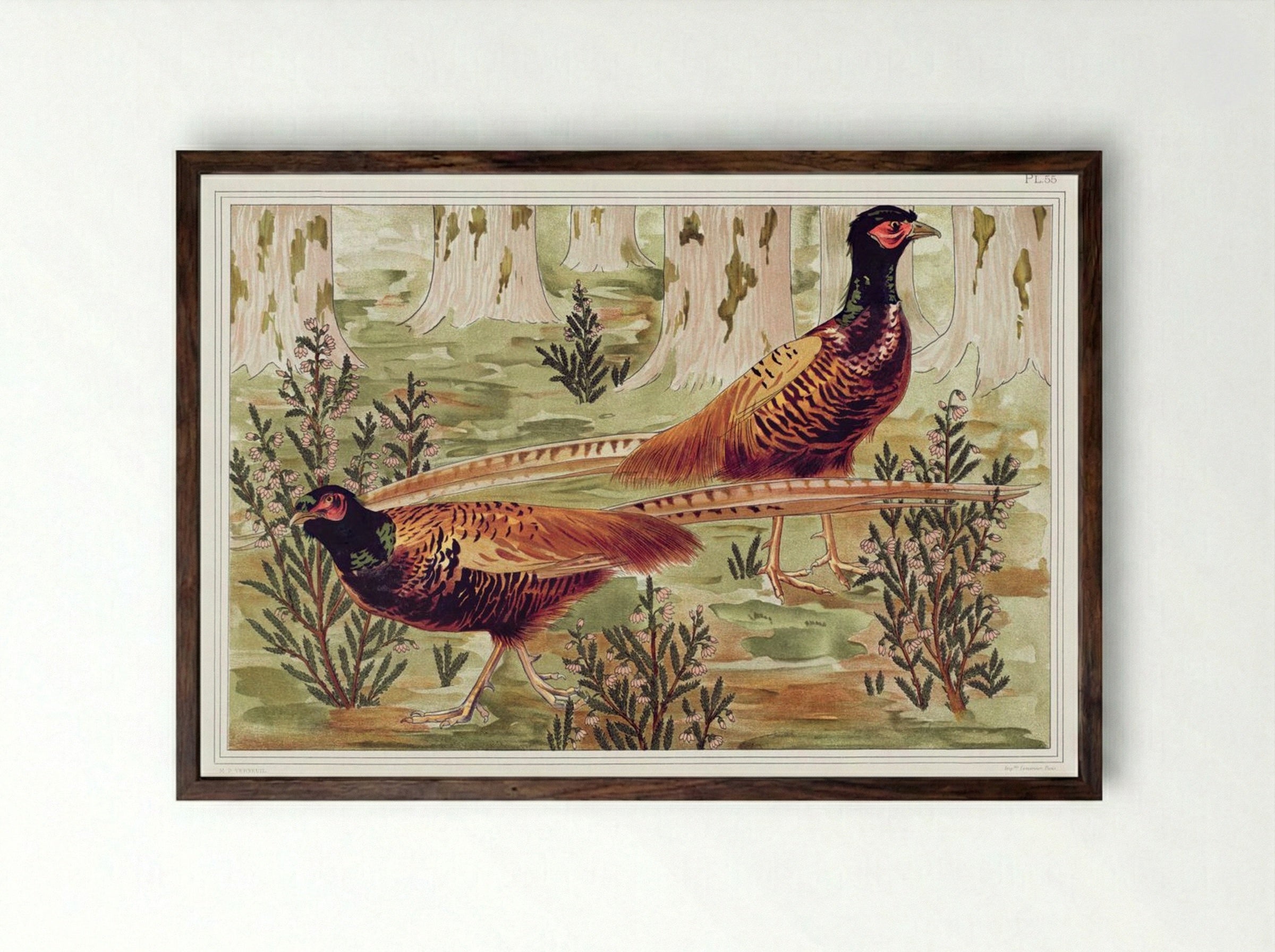 Faisans Ordinaires (Common Pheasants) - Maurice Pillard Verneuil - Framed Print Dark Wood