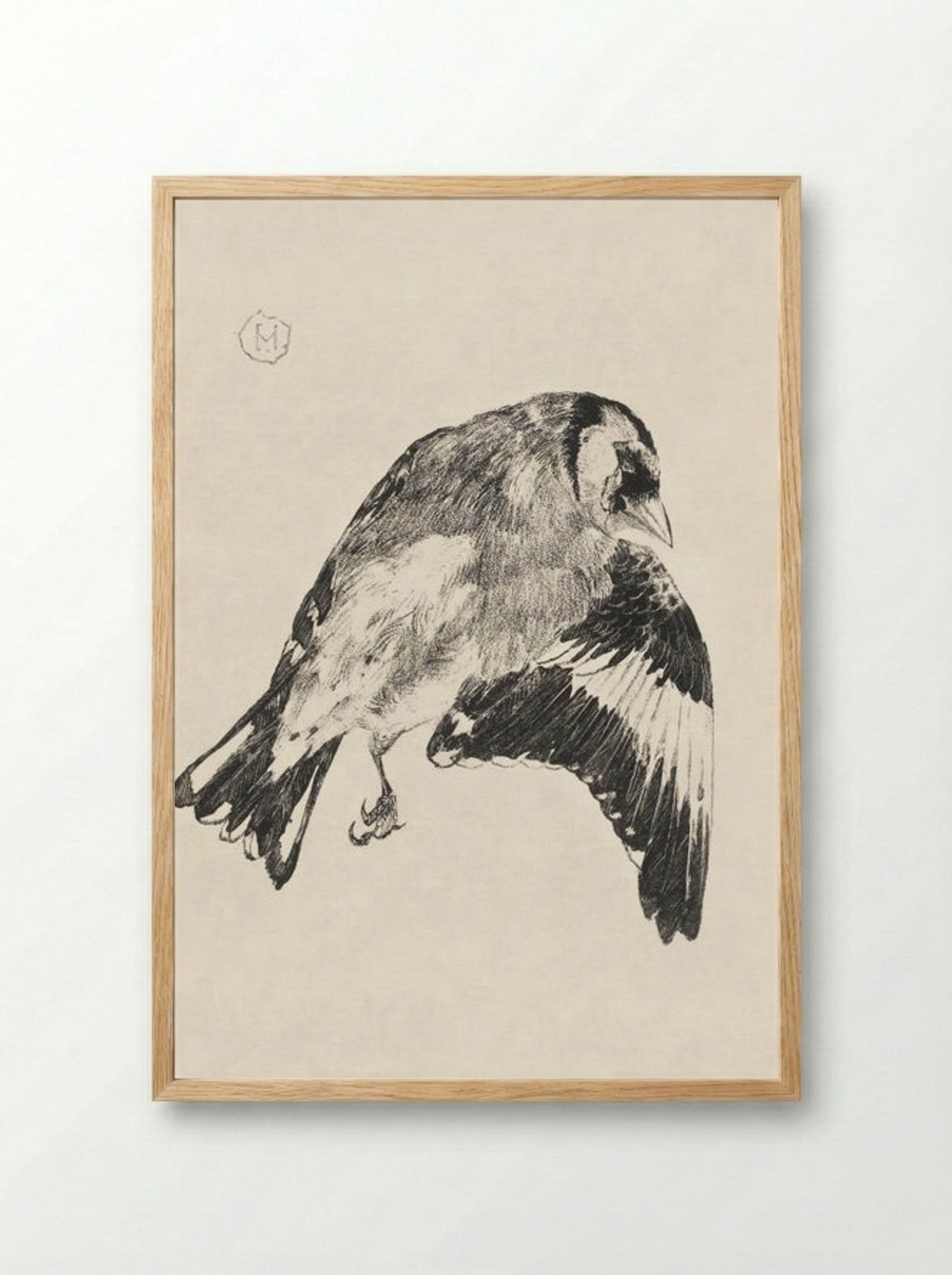 Goldfinch (Study of a Bird in Flight) - Theo van Hoytema - Framed Print Wood