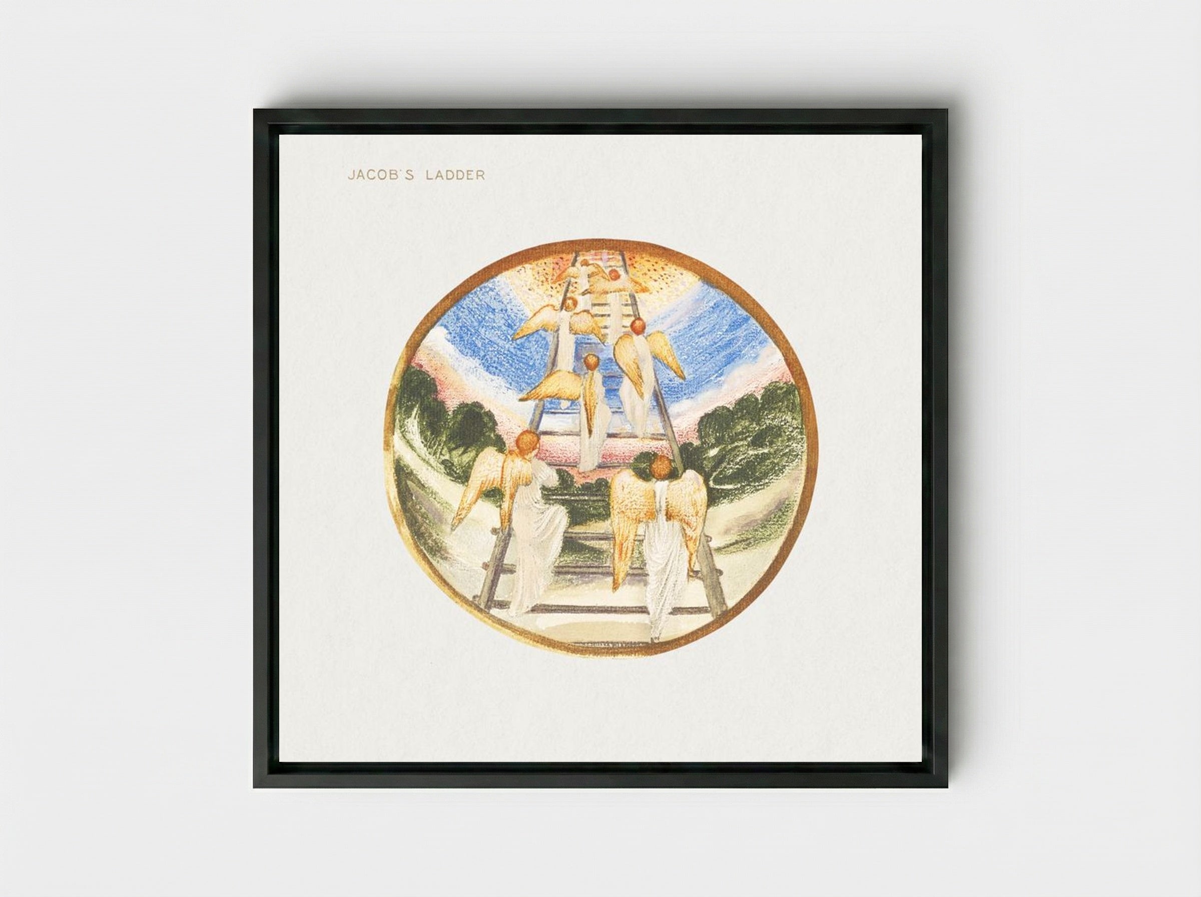 Jacob's Ladder from The Flower Book - Edward Burne-Jones - Framed Canvas Black