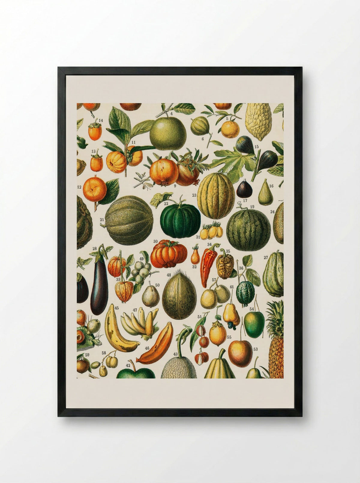 Fruits (from Nouveau Larousse Illustré) - Adolphe Millot - Framed Print Black
