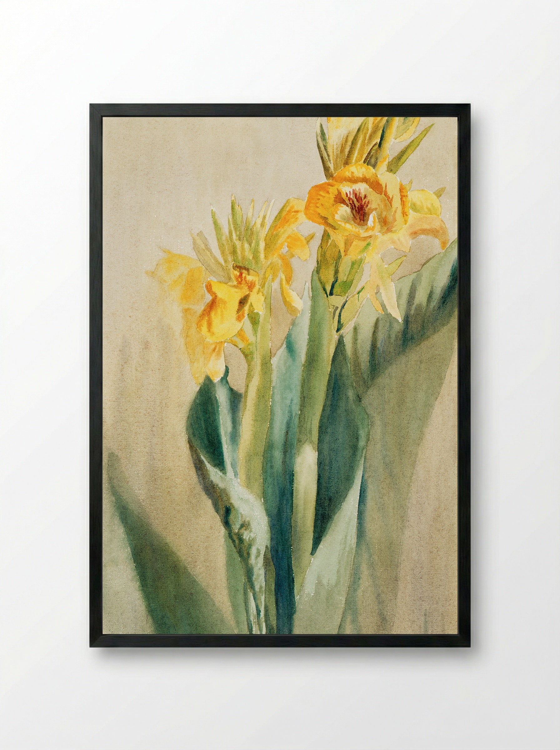 Cana (1915) - Hannah Borger Overbeck - Framed Print Black