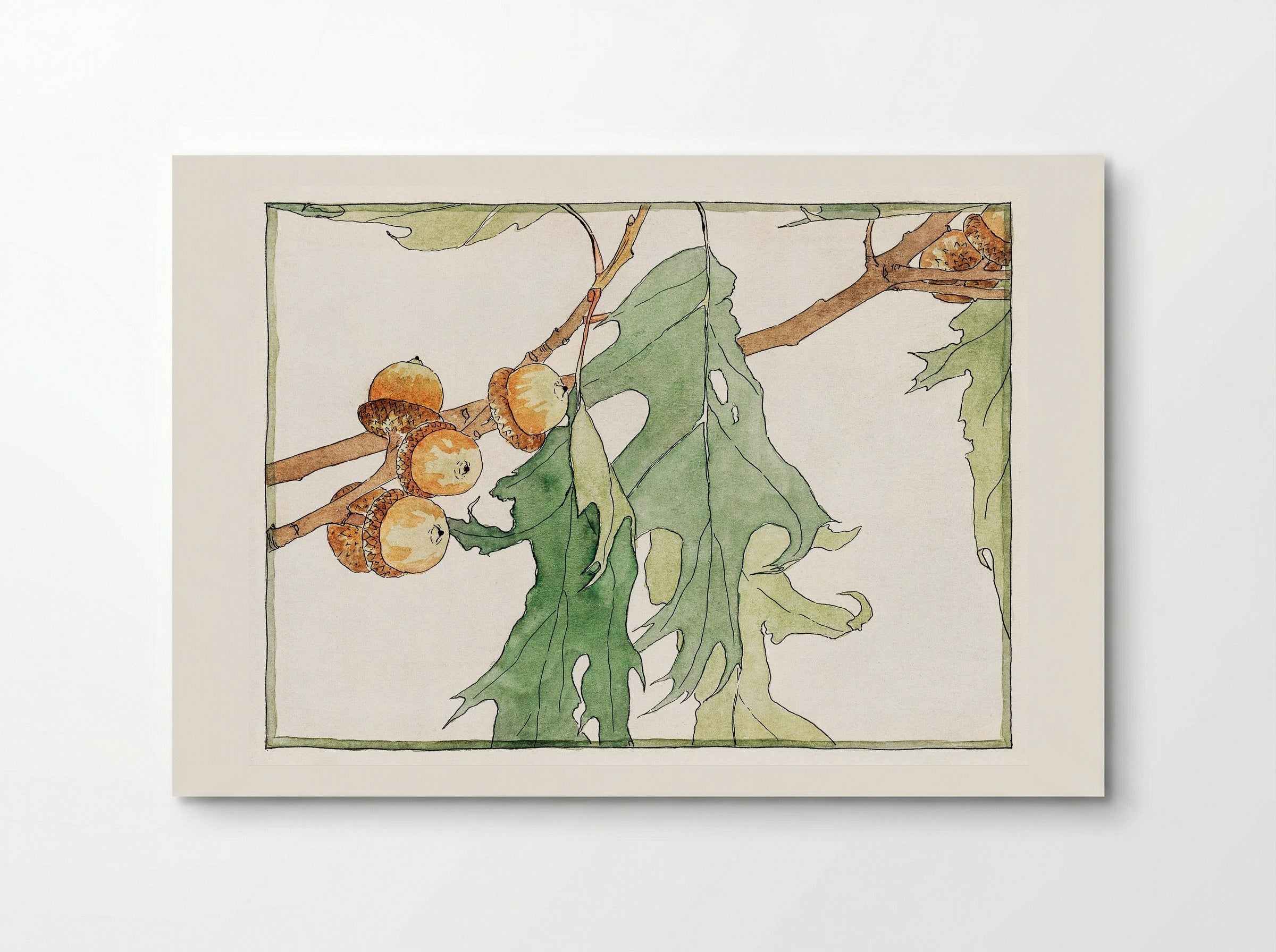 Oak Acorns (1915) - Hannah Borger Overbeck - Poster
