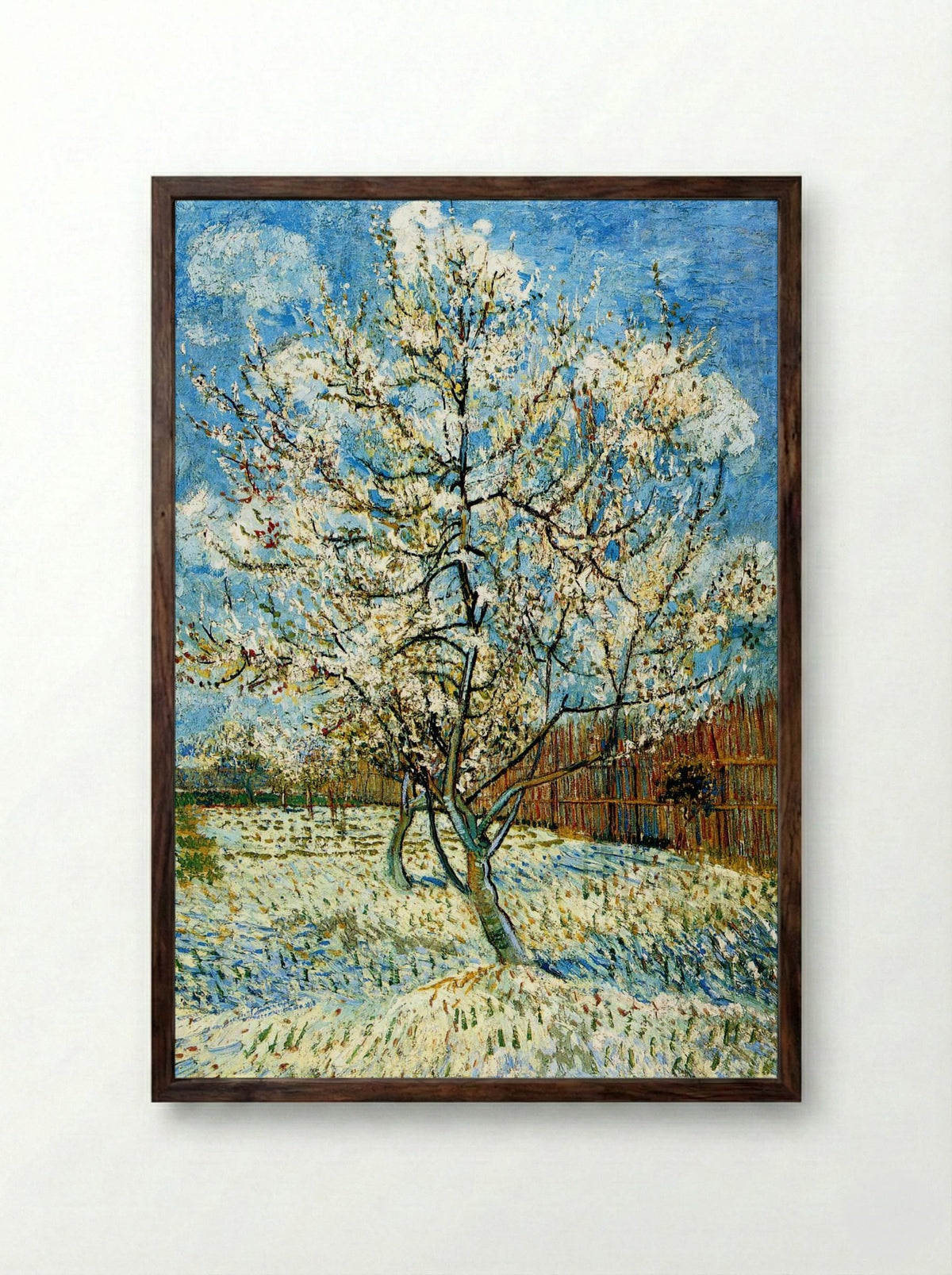 Peach Trees in Blossom - Vincent van Gogh - Framed Print Dark Wood