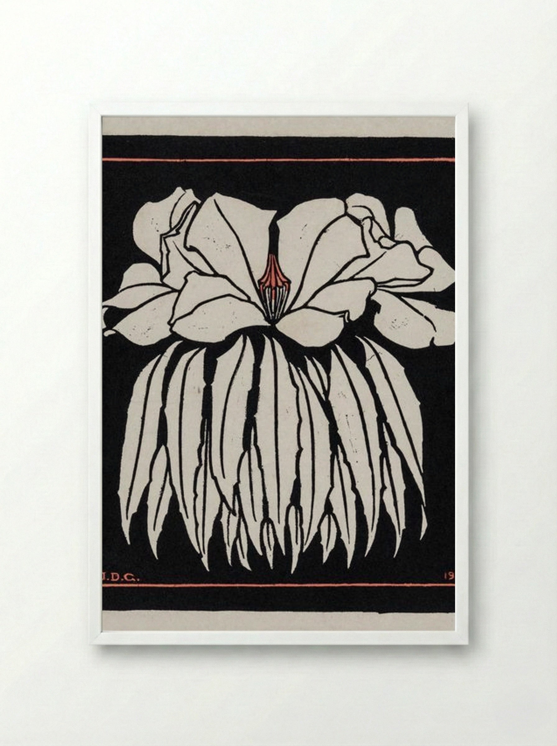 Godetia - Julie de Graag - Framed Print White