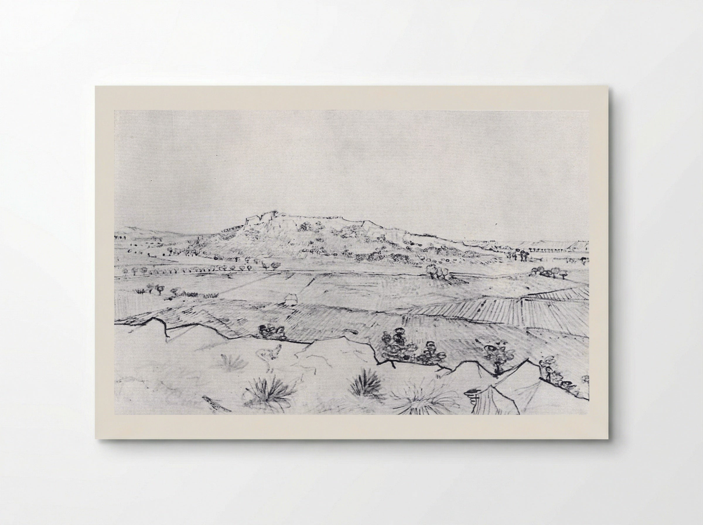 La Crau Seen from Montmajour - Vincent van Gogh - Poster