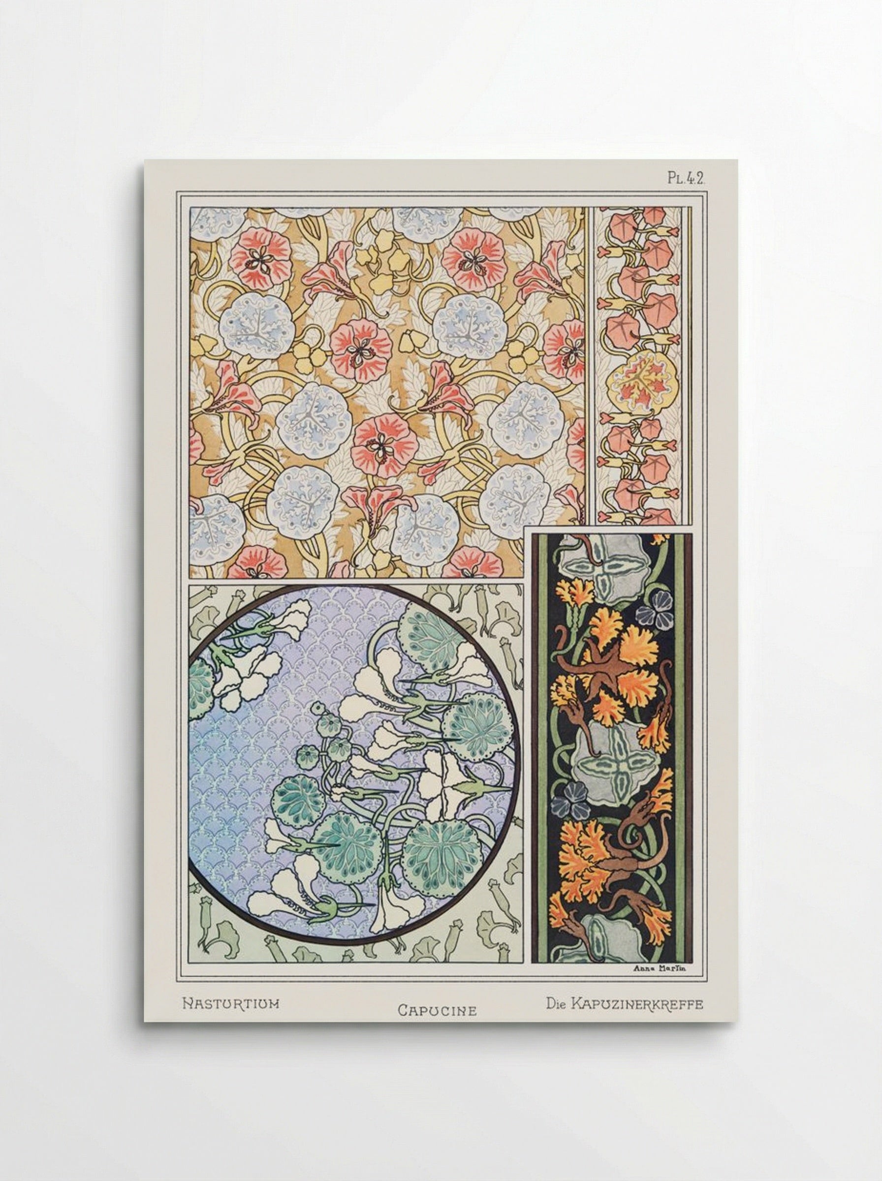 Capucine (Nasturtium) from La Plante et ses Applications ornementales - Maurice Pillard Verneuil - Poster