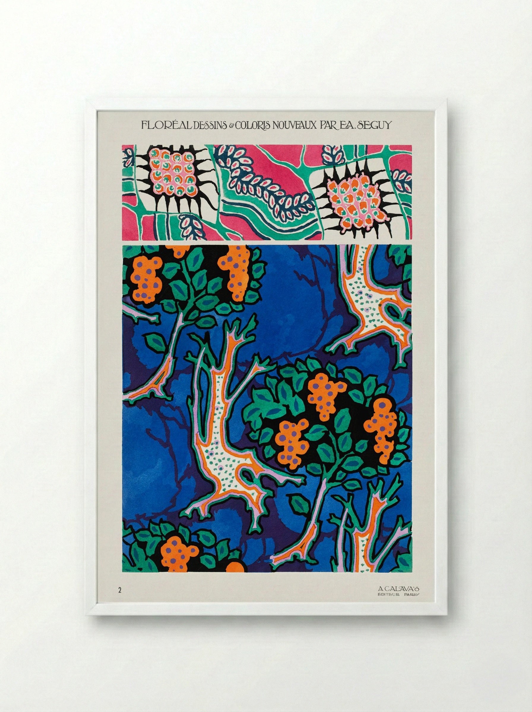 Floral Designs and Colour Schemes (Plate 4) - Émile-Allain Séguy - Framed Print White