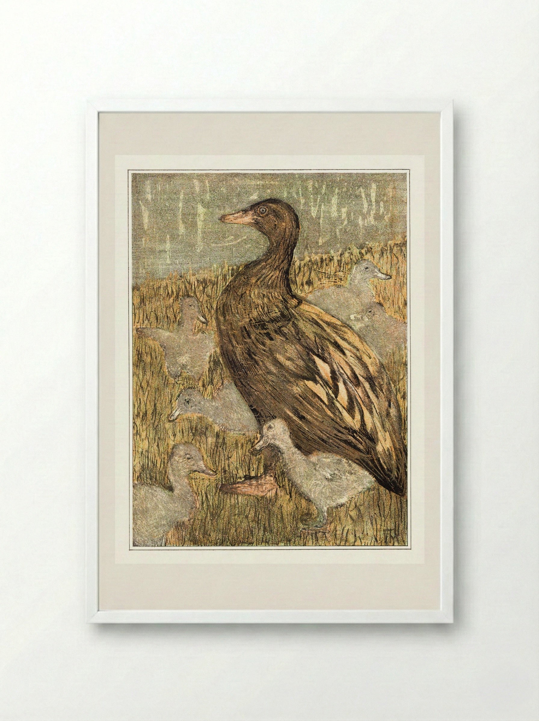 Duck with Ducklings by the Waterside - Theo van Hoytema - Framed Print White