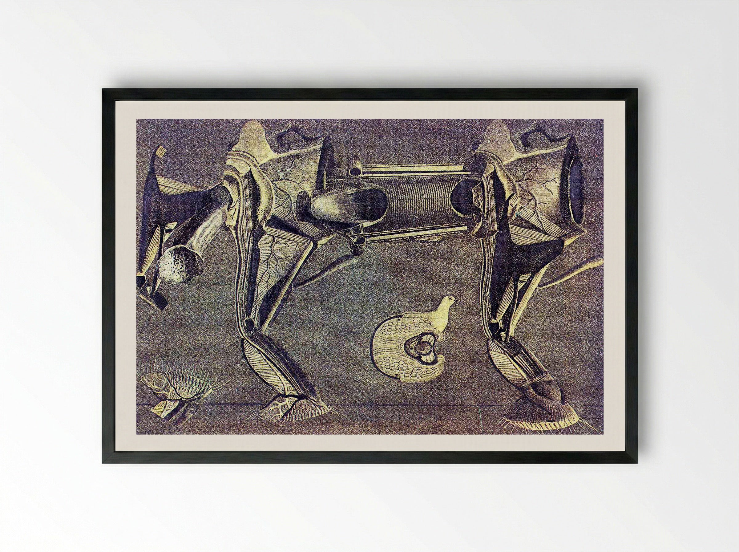 Untitled (Anatomical Study of a Horse and Bird) - Fine Art Print - Framed Print Black