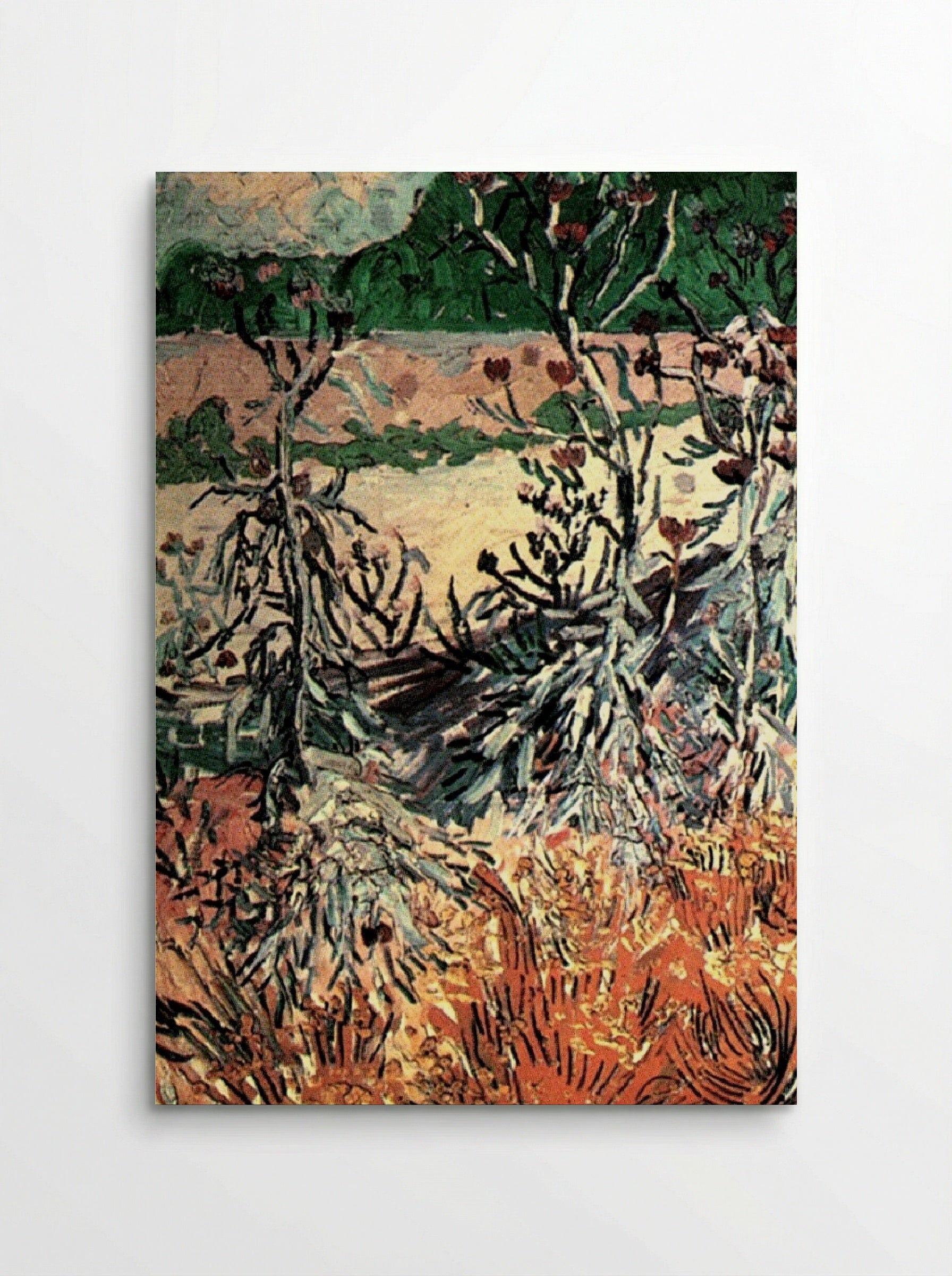 Thistles in a Field - Vincent van Gogh - Poster