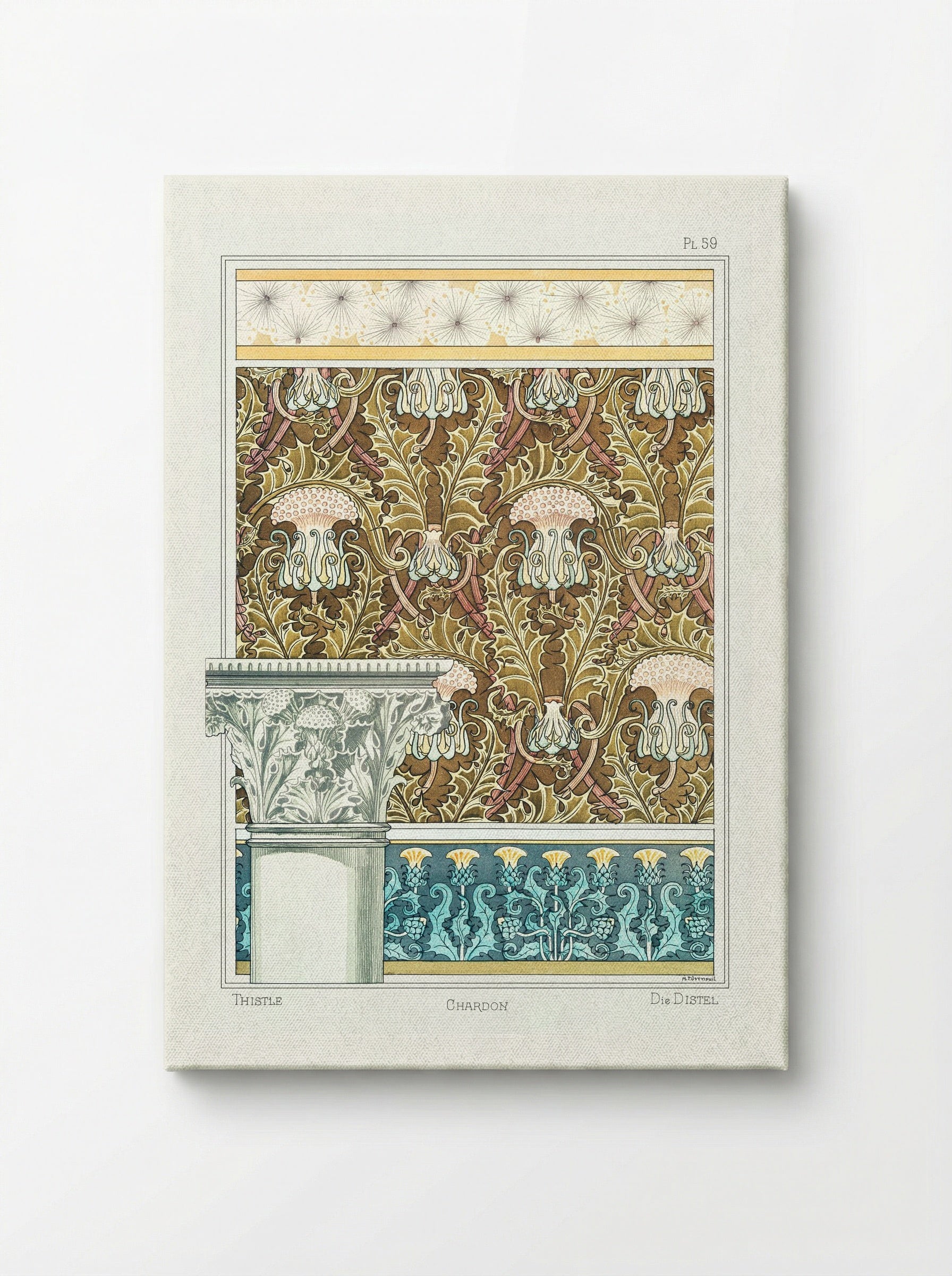 Chardon (Thistle) from La Plante et ses Applications ornementales - Maurice Pillard Verneuil - Canvas