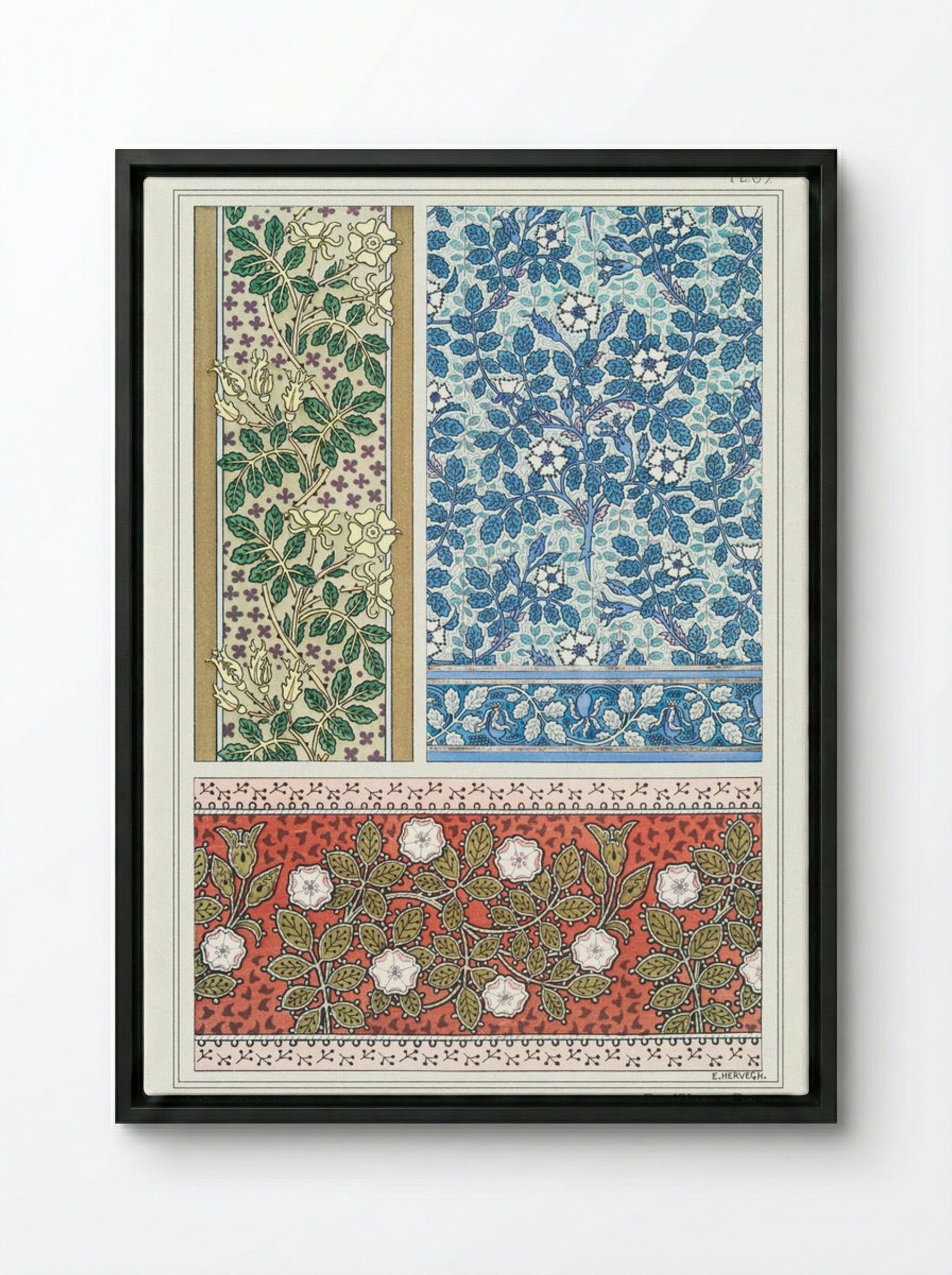 Eglantier (Wild Rose) from La Plante et ses Applications ornementales - Maurice Pillard Verneuil - Framed Canvas Black