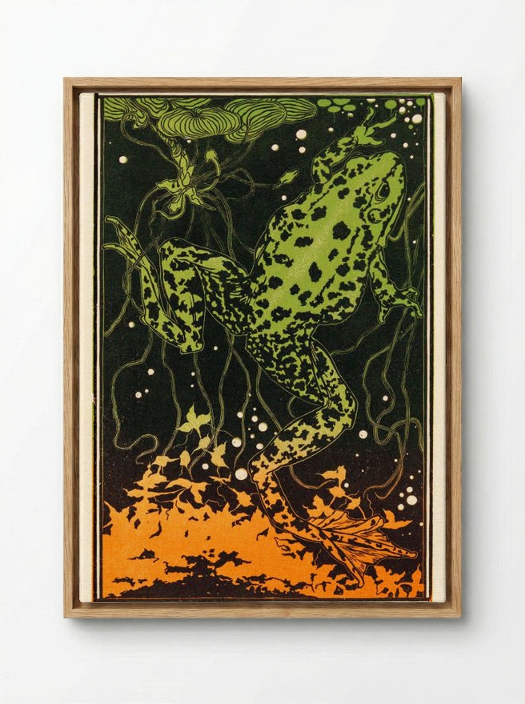 Swimming Frog - Julie de Graag - Framed Canvas Wood