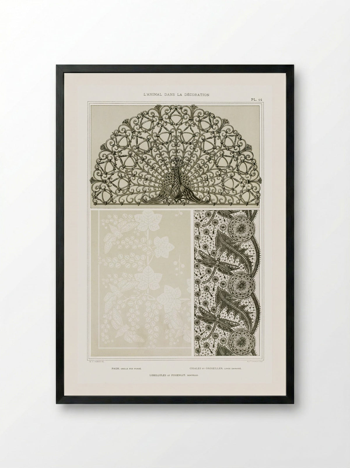 L'Animal dans la Décoration, Plate 14 (Peacock, Cicadas, Dragonflies) - Maurice Pillard Verneuil - Framed Print Black