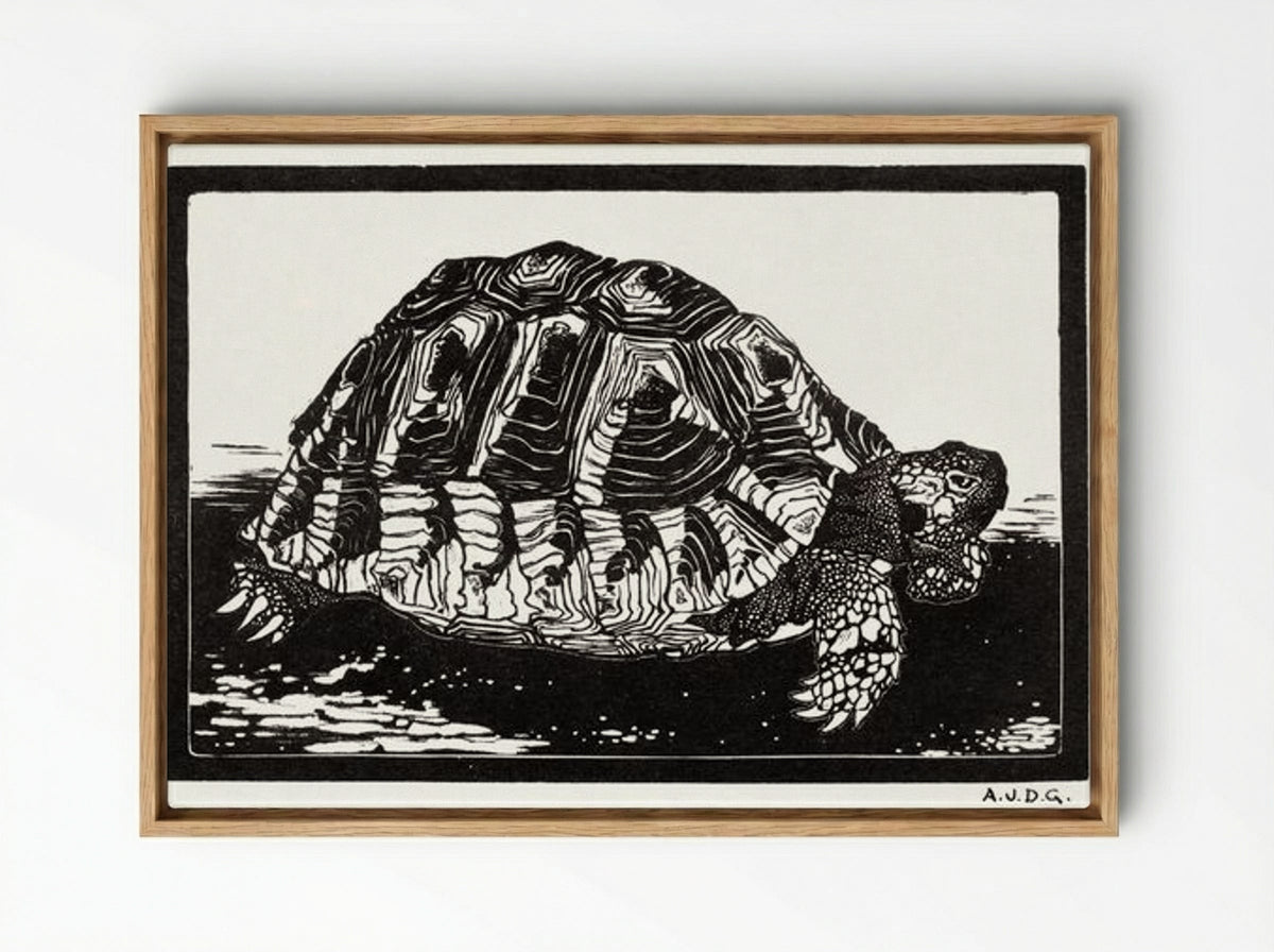 Turtle - Julie de Graag - Framed Canvas Wood