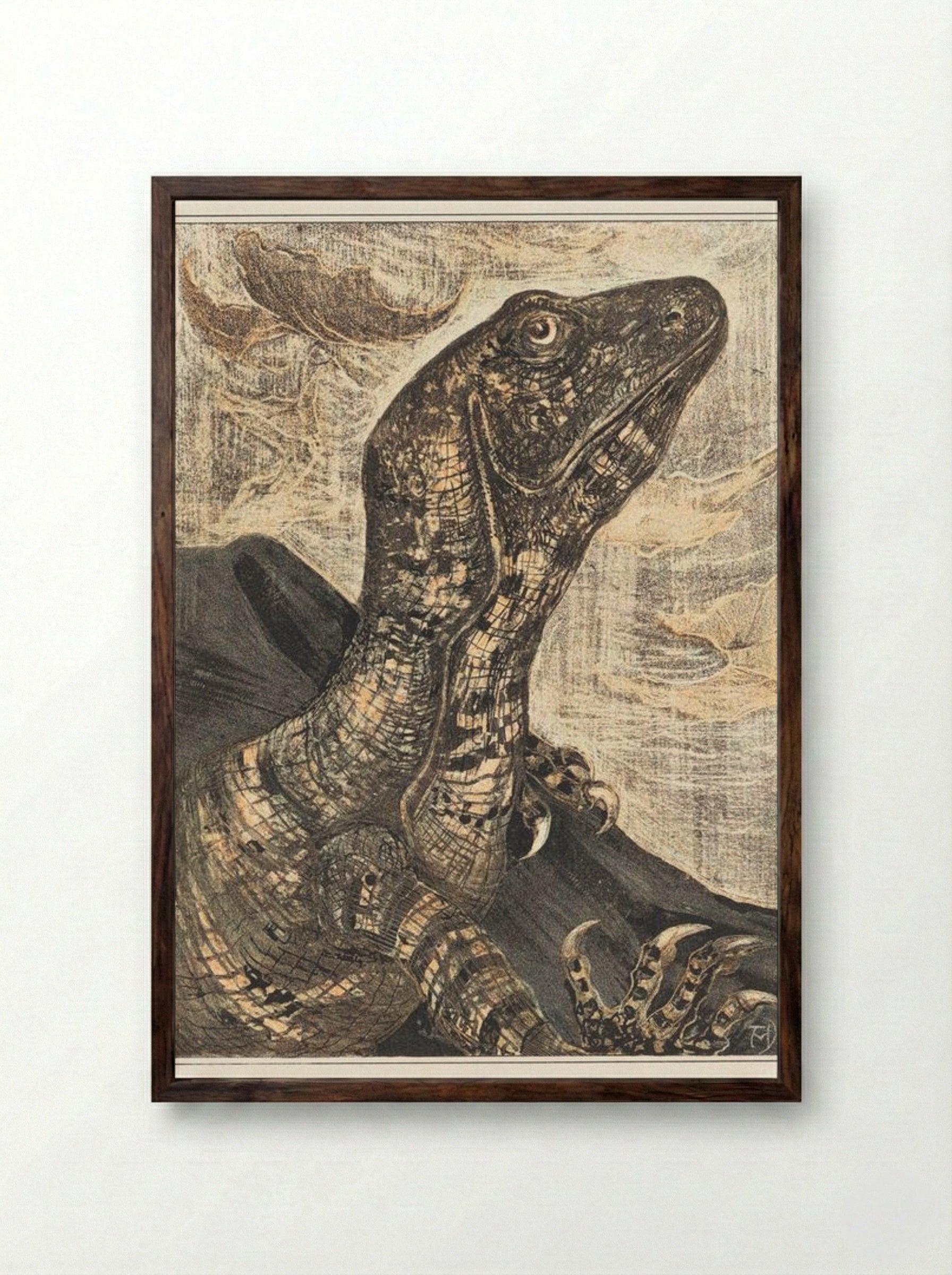 Leguaan (Monitor Lizard) - Theo van Hoytema - Framed Print Dark Wood