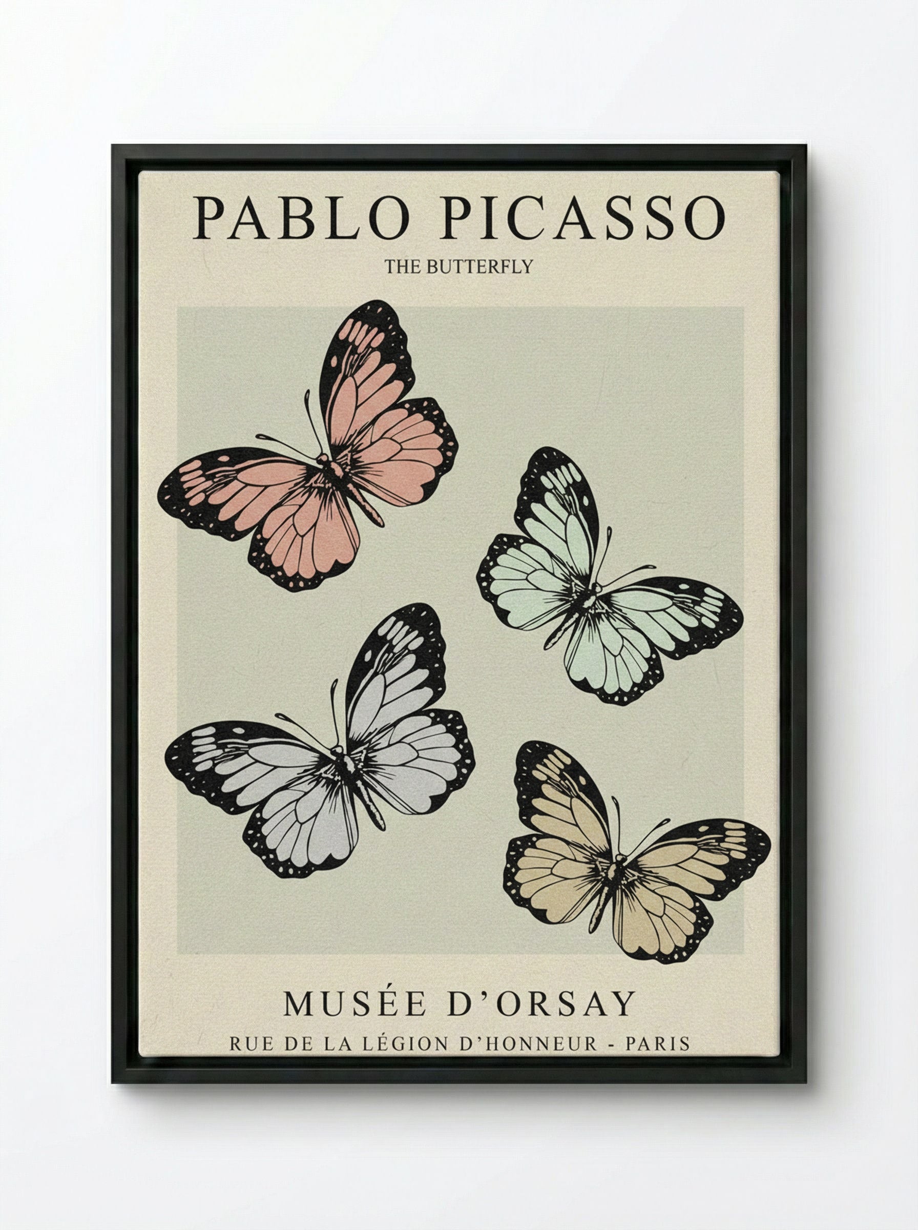 The Butterfly - Pablo Picasso