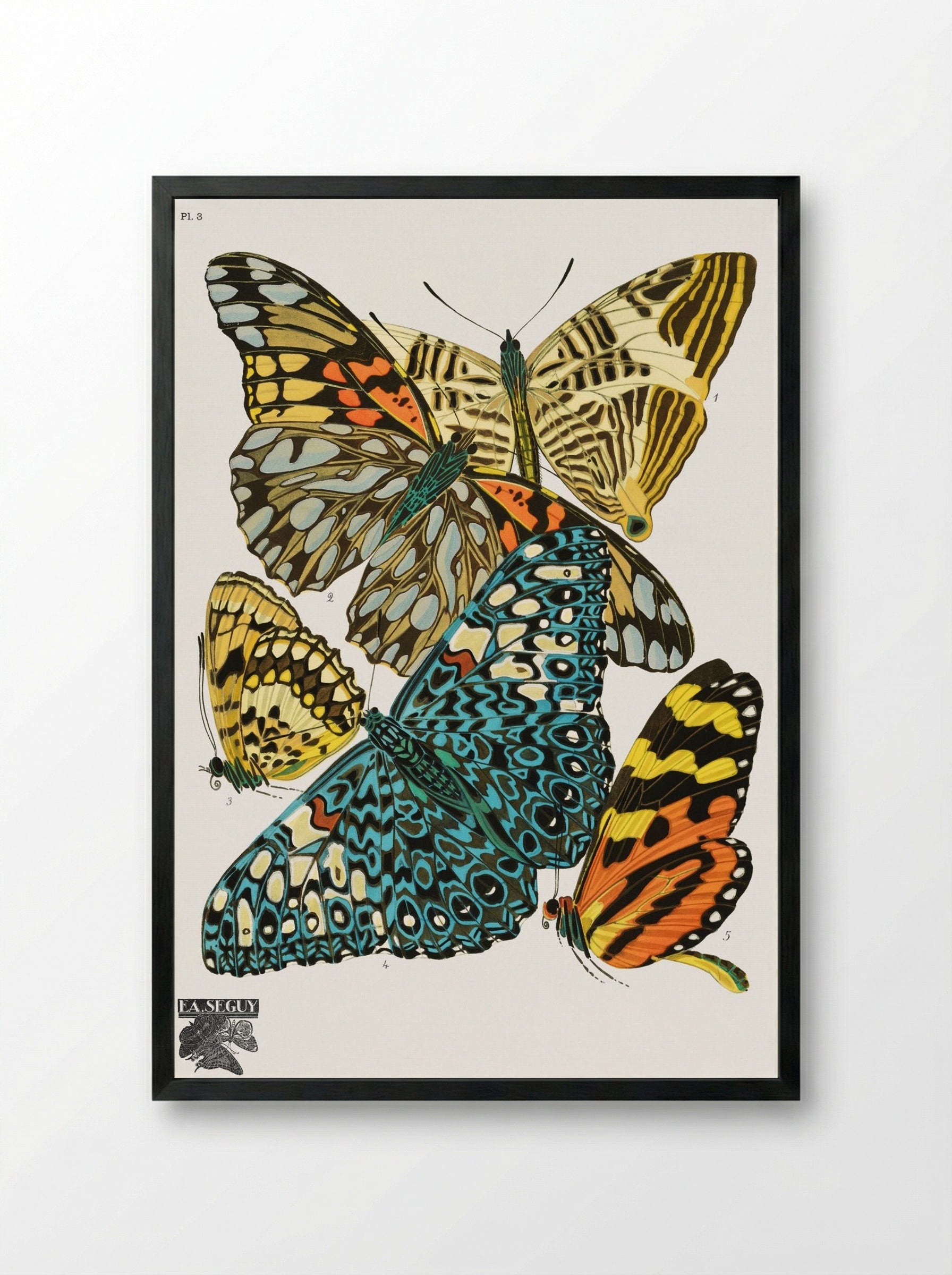 Butterflies, Plate 3 - Émile-Allain Séguy - Framed Print Black