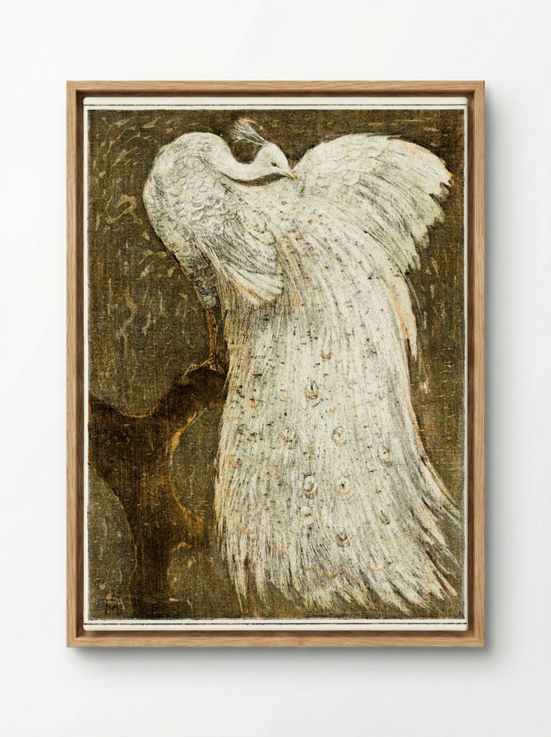 White Peacock on a Branch - Theo van Hoytema - Framed Canvas Wood