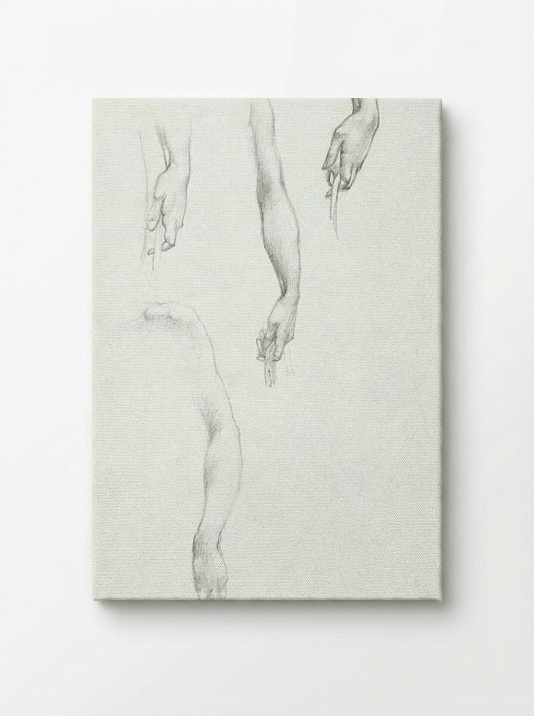 Studies of Arms and Hands - Edward Burne-Jones - Canvas