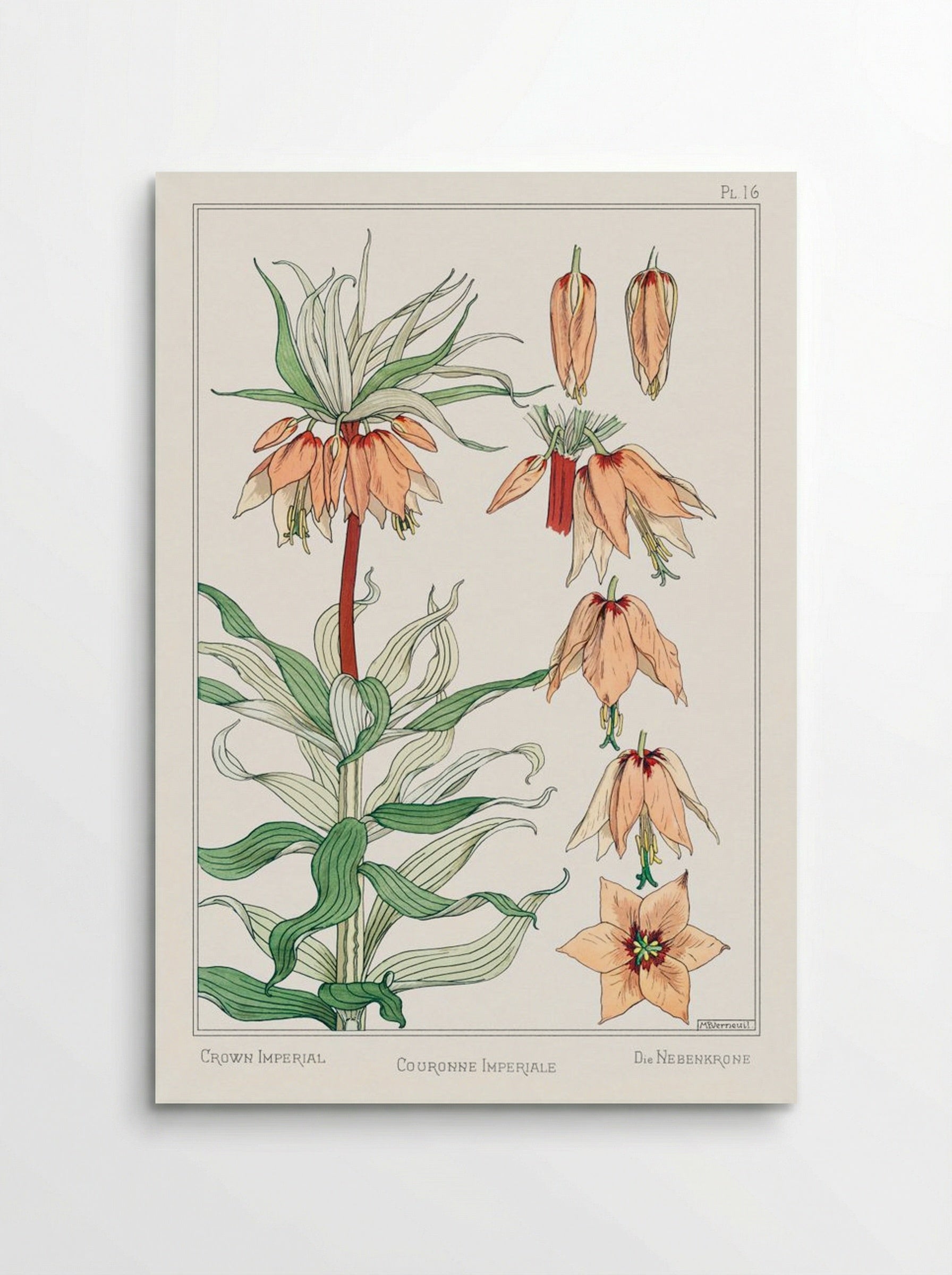 Couronne Impériale (Crown Imperial) - Maurice Pillard Verneuil - Poster