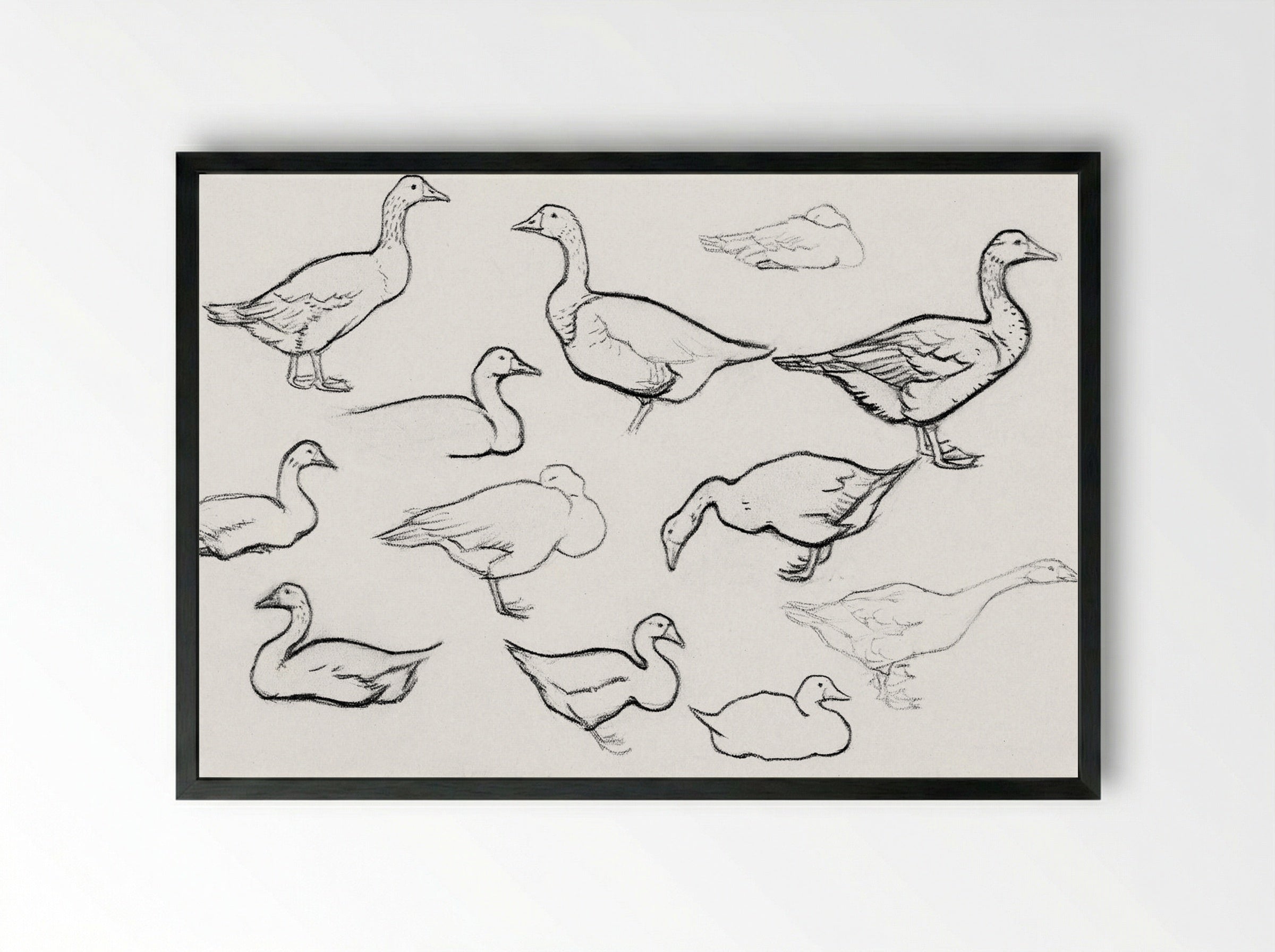 Study of Geese - Julie de Graag - Framed Print Black