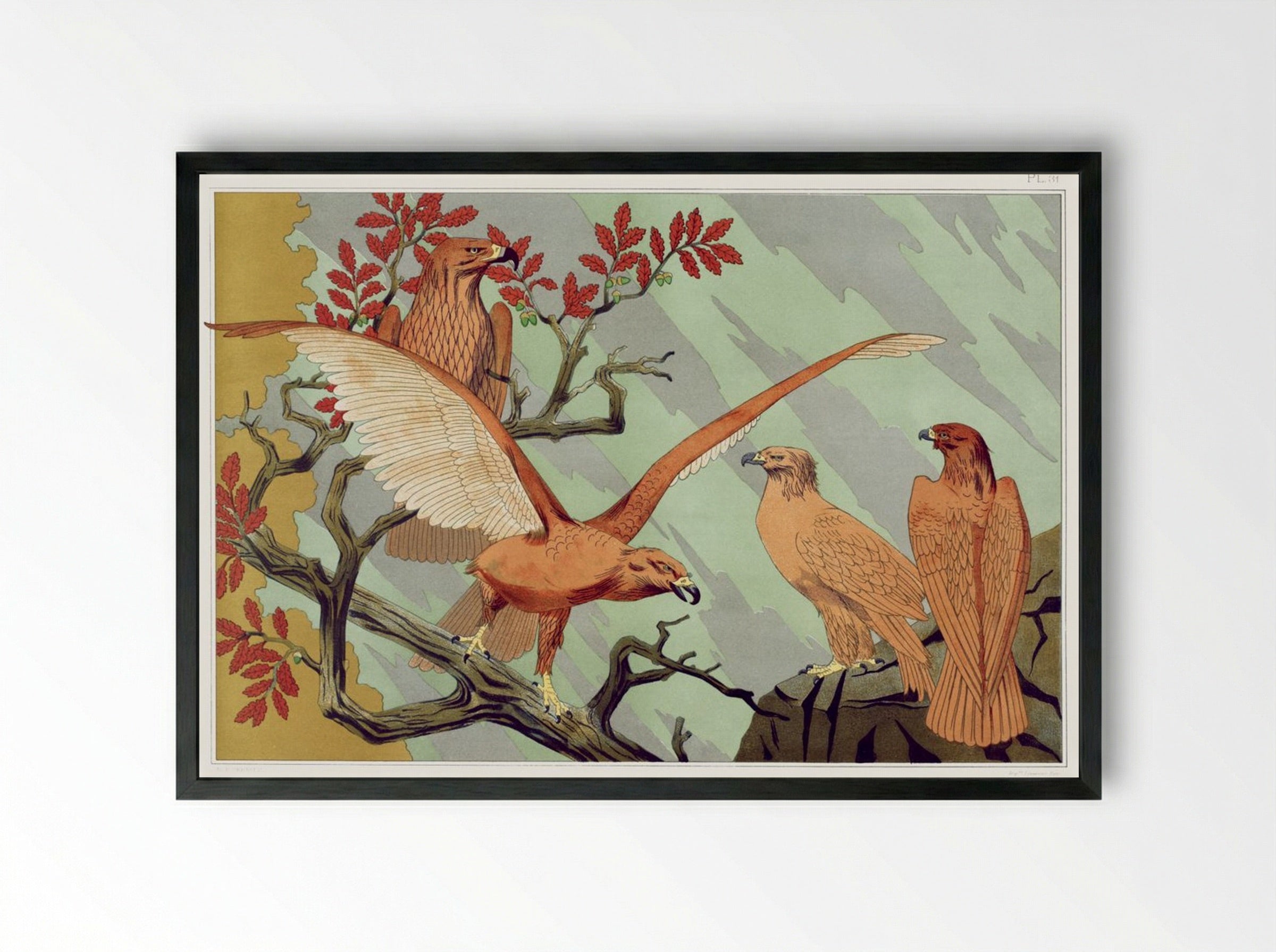 Aigles (Eagles) from L'animal dans la décoration - Maurice Pillard Verneuil - Framed Print Black