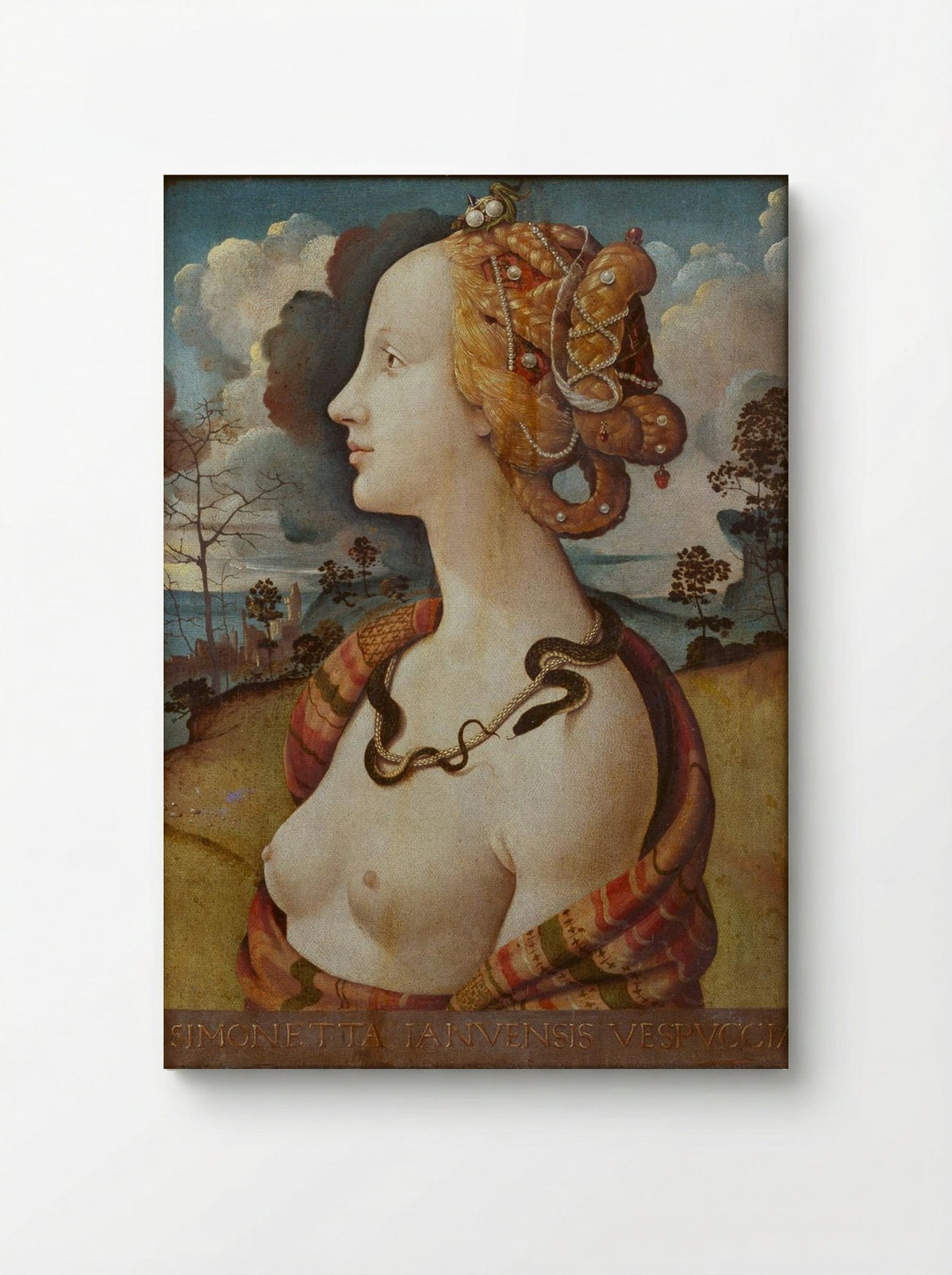Portrait of Simonetta Vespucci - Piero di Cosimo - Canvas