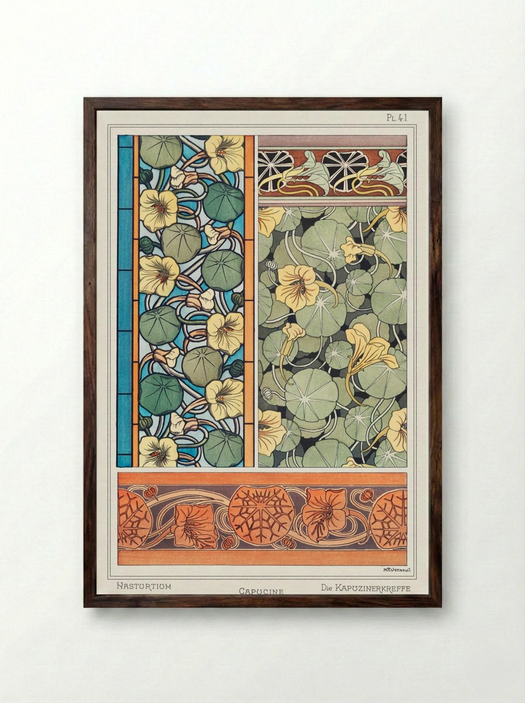 Capucine, from La Plante et ses Applications ornementales - Maurice Pillard Verneuil - Framed Print Dark Wood