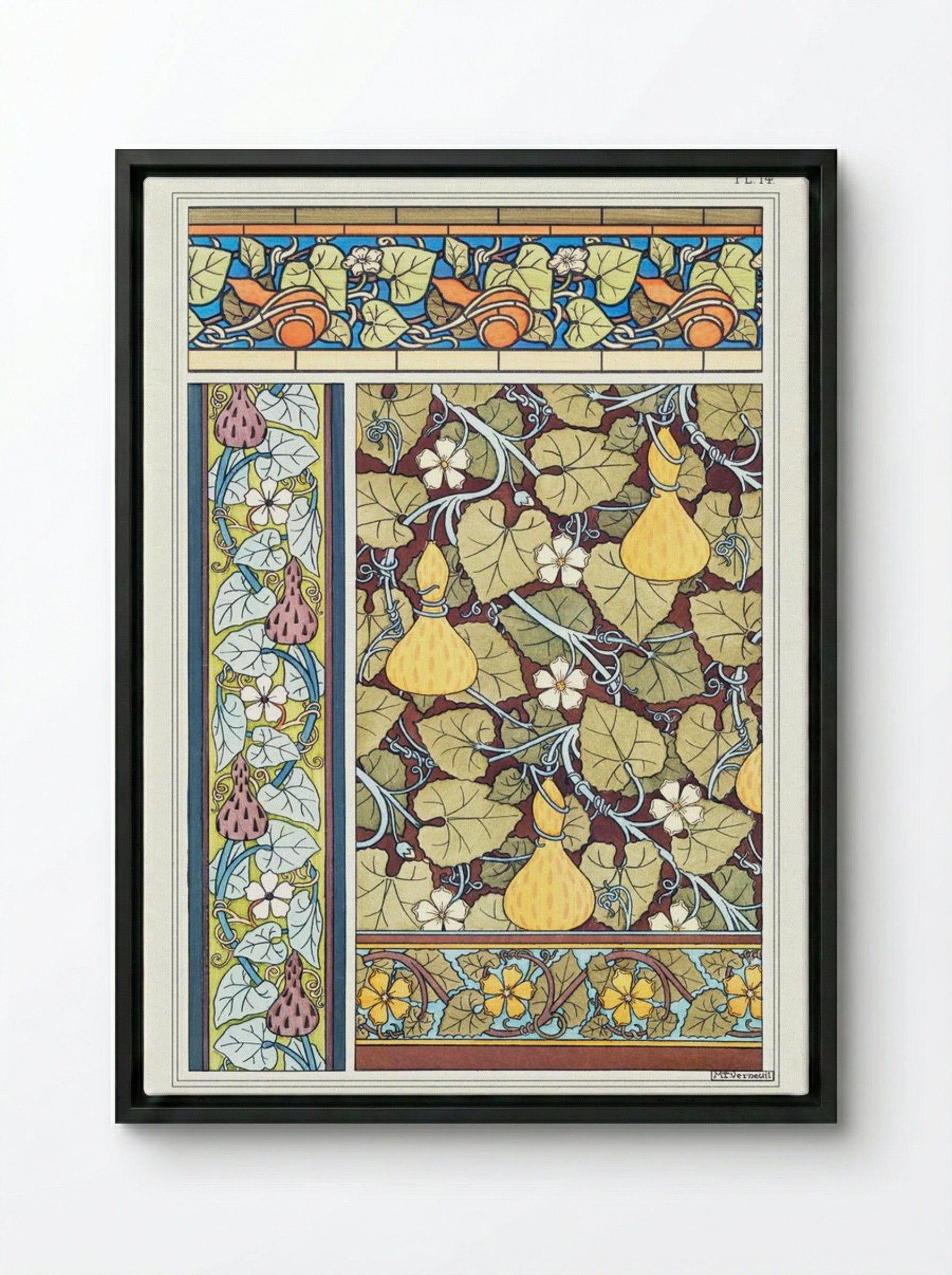 Courge (White-Flowered Gourd, from La Plante et ses Applications ornementales) - Maurice Pillard Verneuil - Framed Canvas Black