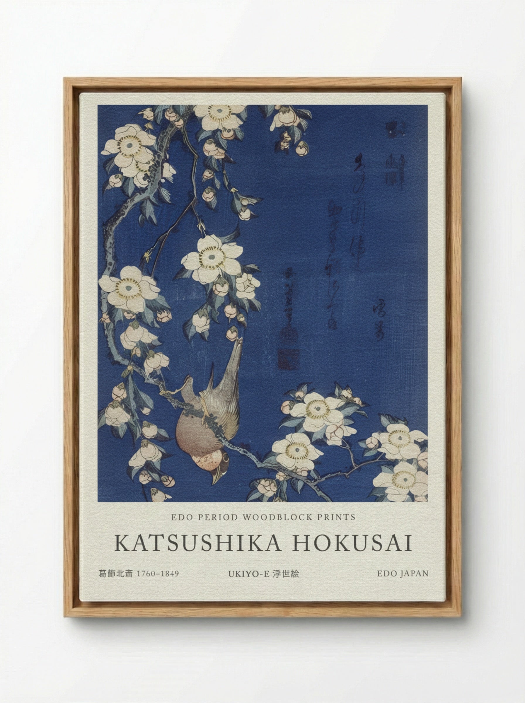 Bullfinch and Weeping Cherry Blossoms – Fine Art Print