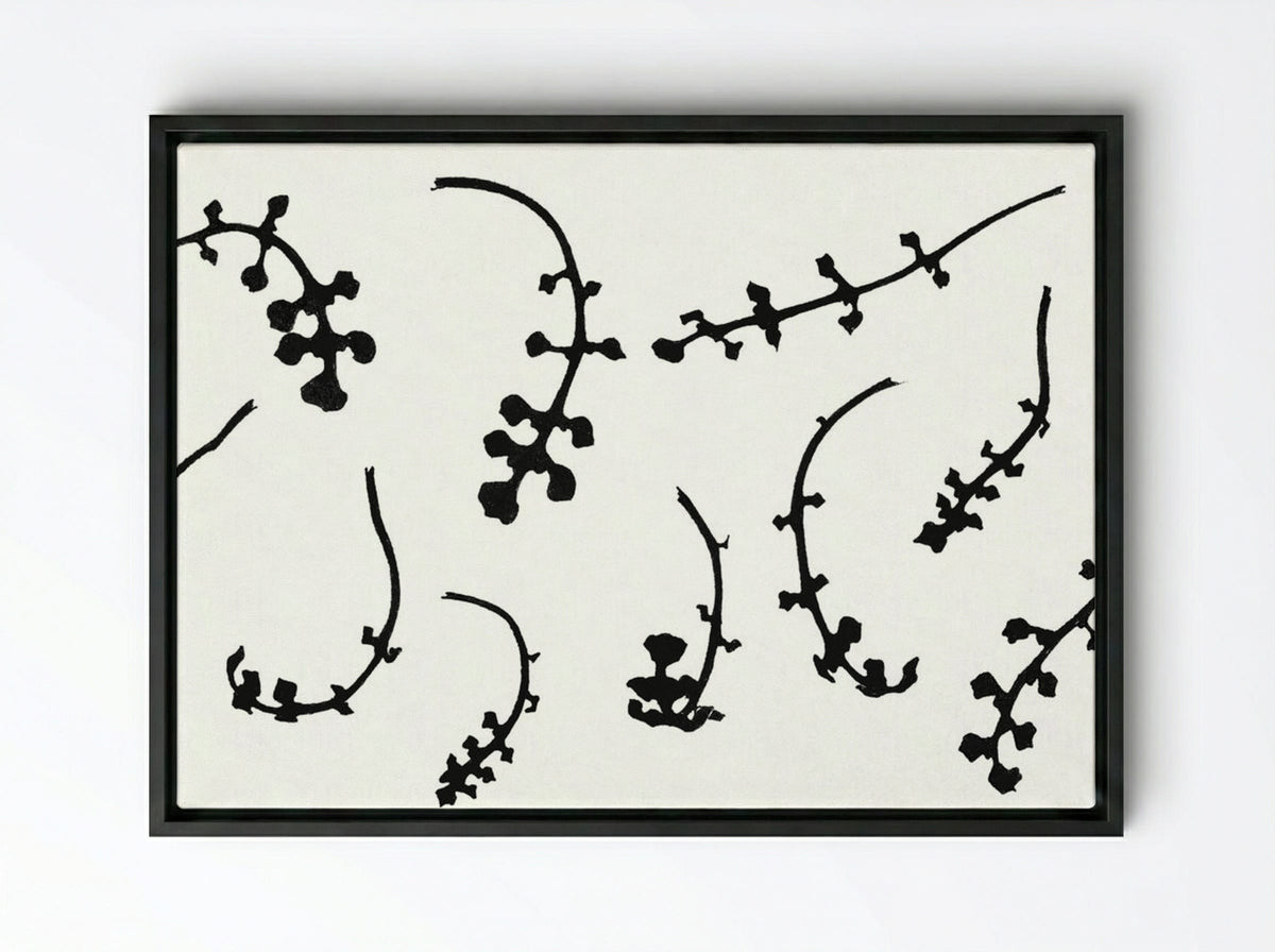 Root Rosettes of the Pentecostal Flower - Julie de Graag - Framed Canvas Black