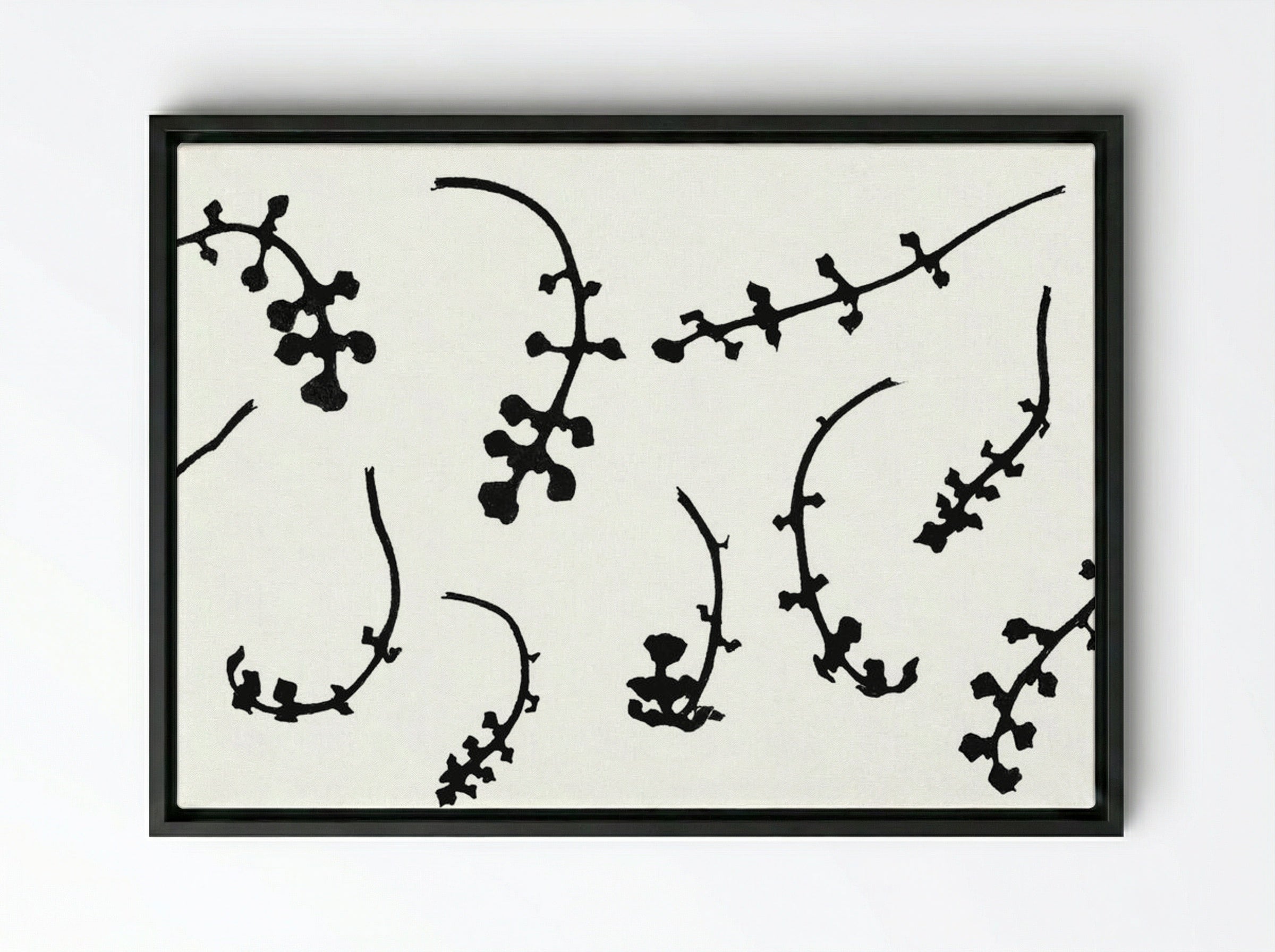 Root Rosettes of the Pentecostal Flower - Julie de Graag - Framed Canvas Black