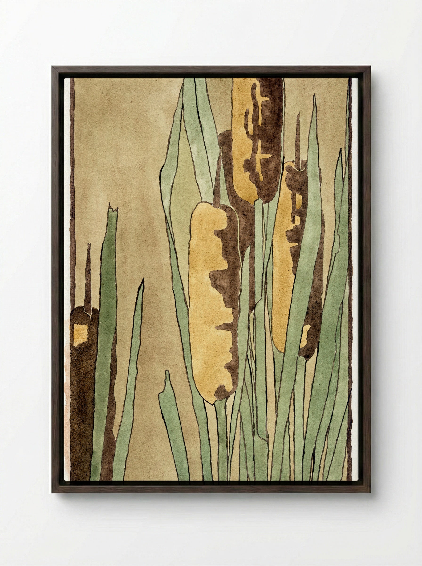 Cattail - Hannah Borger Overbeck - Framed Canvas Dark Wood