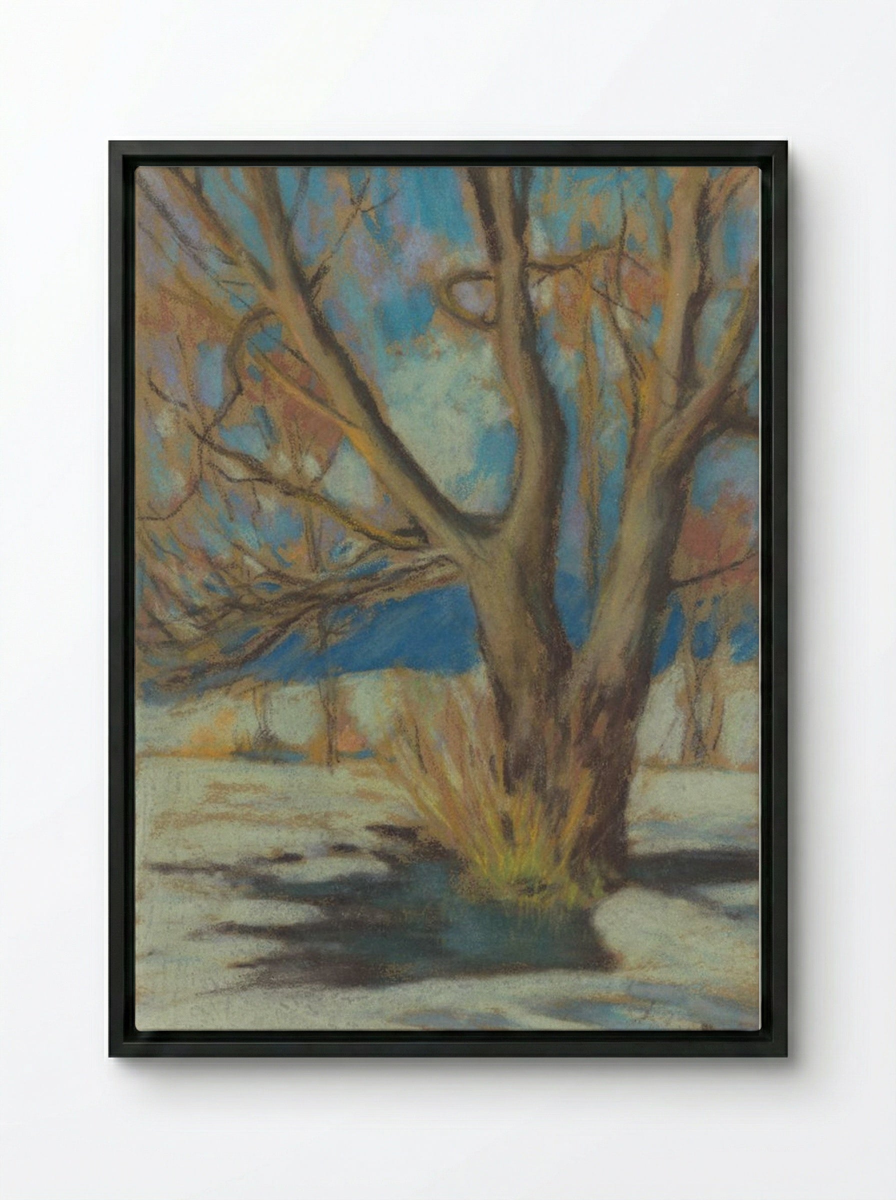 Study of a Bare Tree in Winter - Zolo Palugyay - Framed Canvas Black