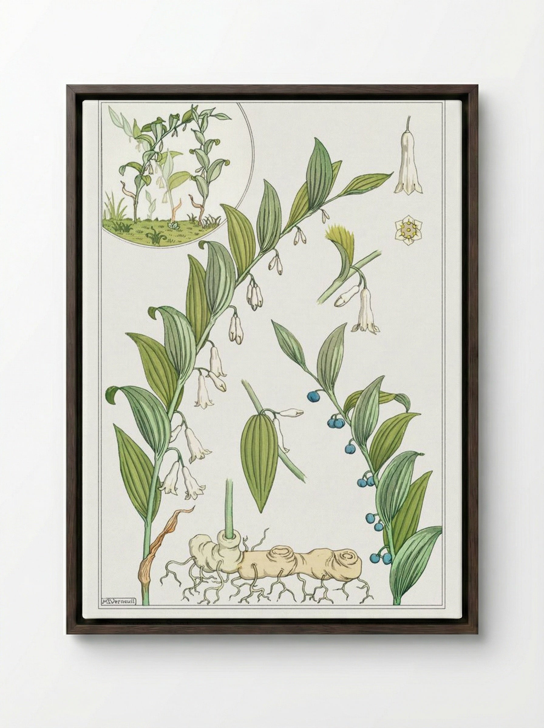 Sceau de Salomon (Solomon's Seal) - Maurice Pillard Verneuil - Framed Canvas Dark Wood