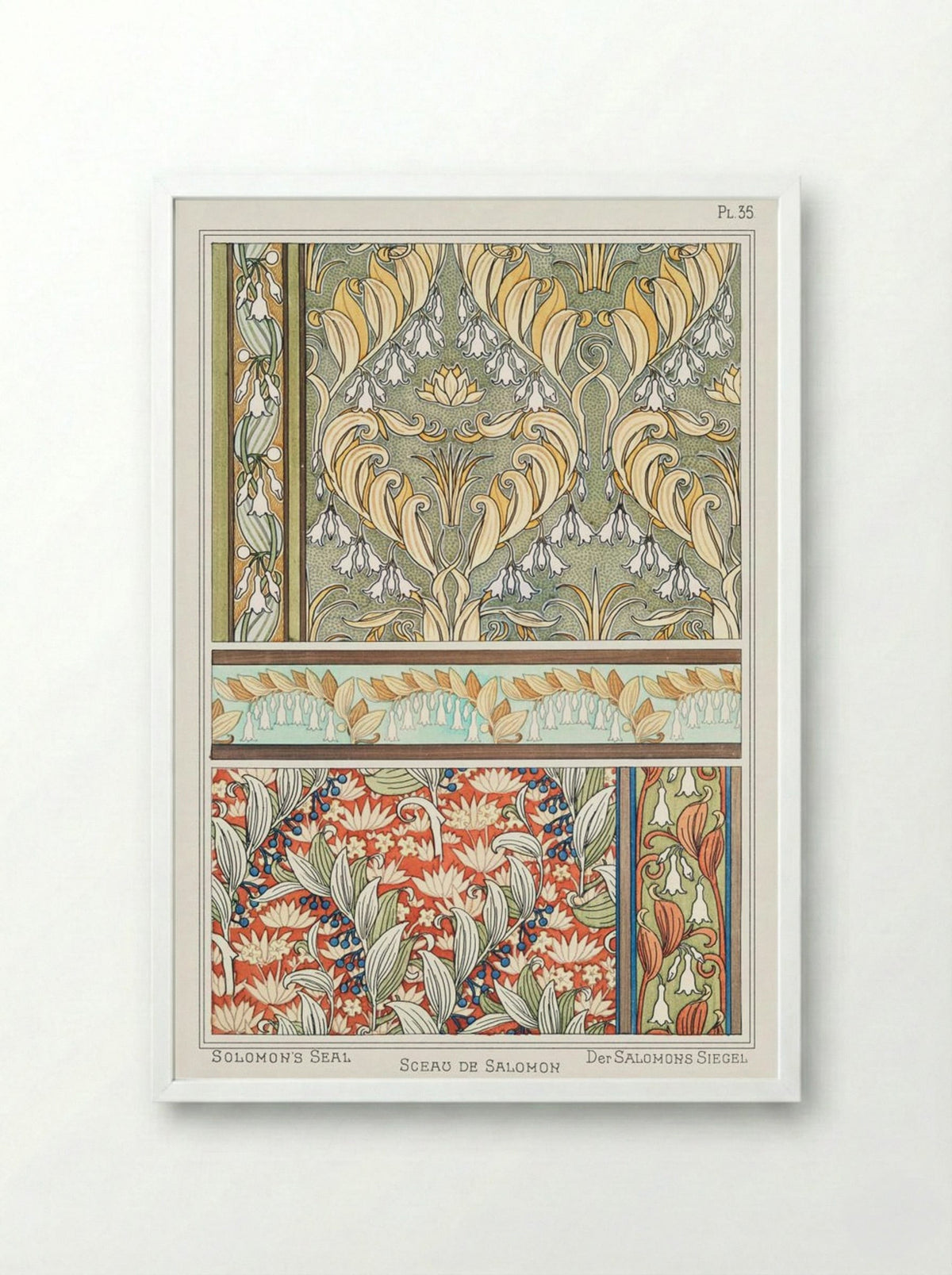 Sceau de Salomon (Solomon's Seal) from La Plante et ses Applications ornementales - Maurice Pillard Verneuil - Framed Print White