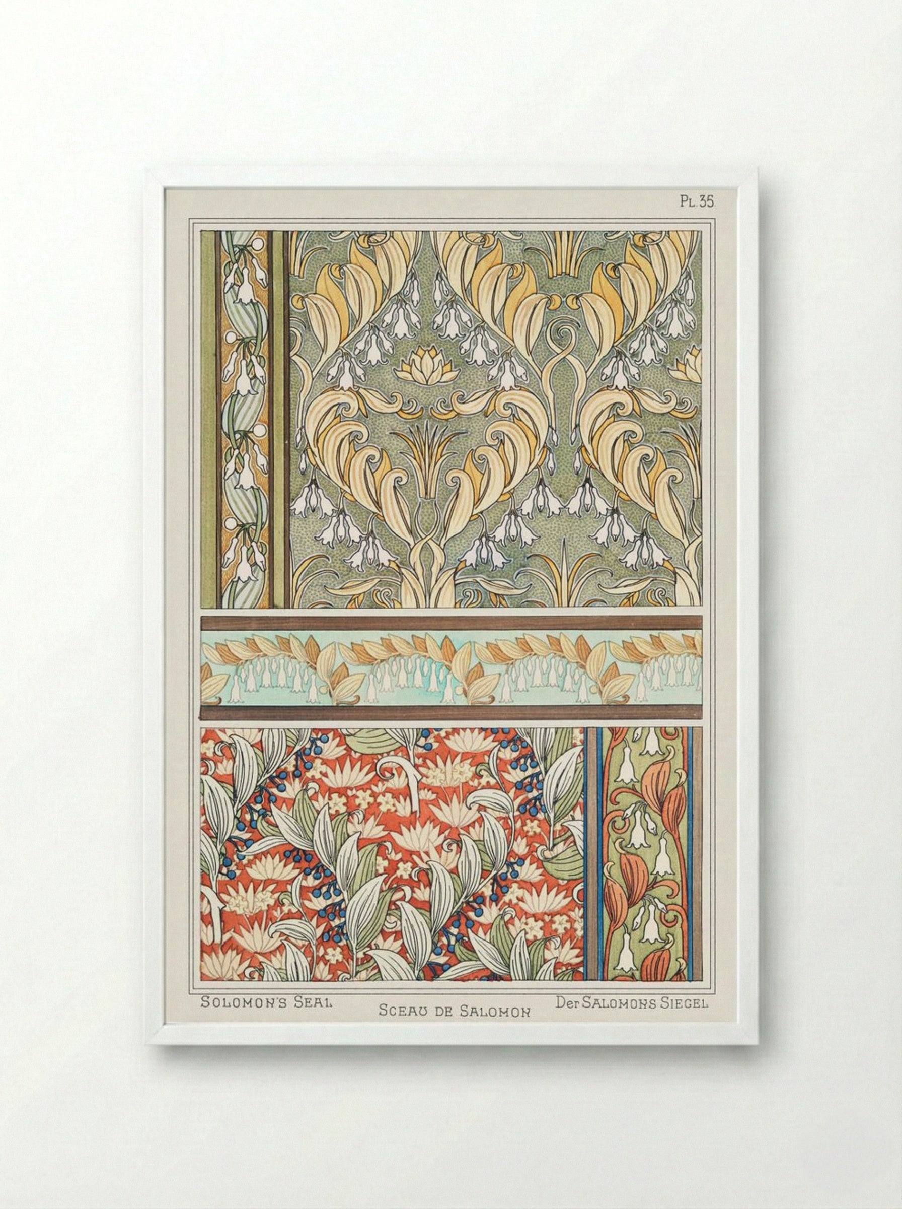 Sceau de Salomon (Solomon's Seal) from La Plante et ses Applications ornementales - Maurice Pillard Verneuil - Framed Print White