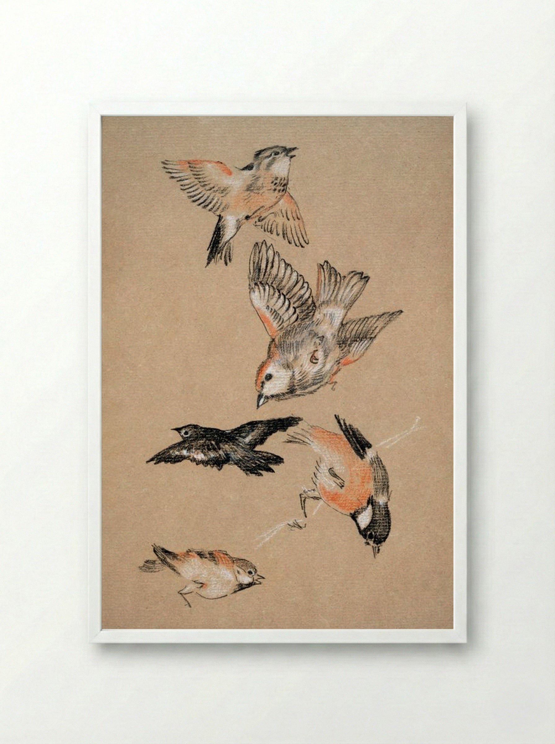 Study of Finches (for 'Love Leading the Pilgrim') - Edward Burne-Jones - Framed Print White