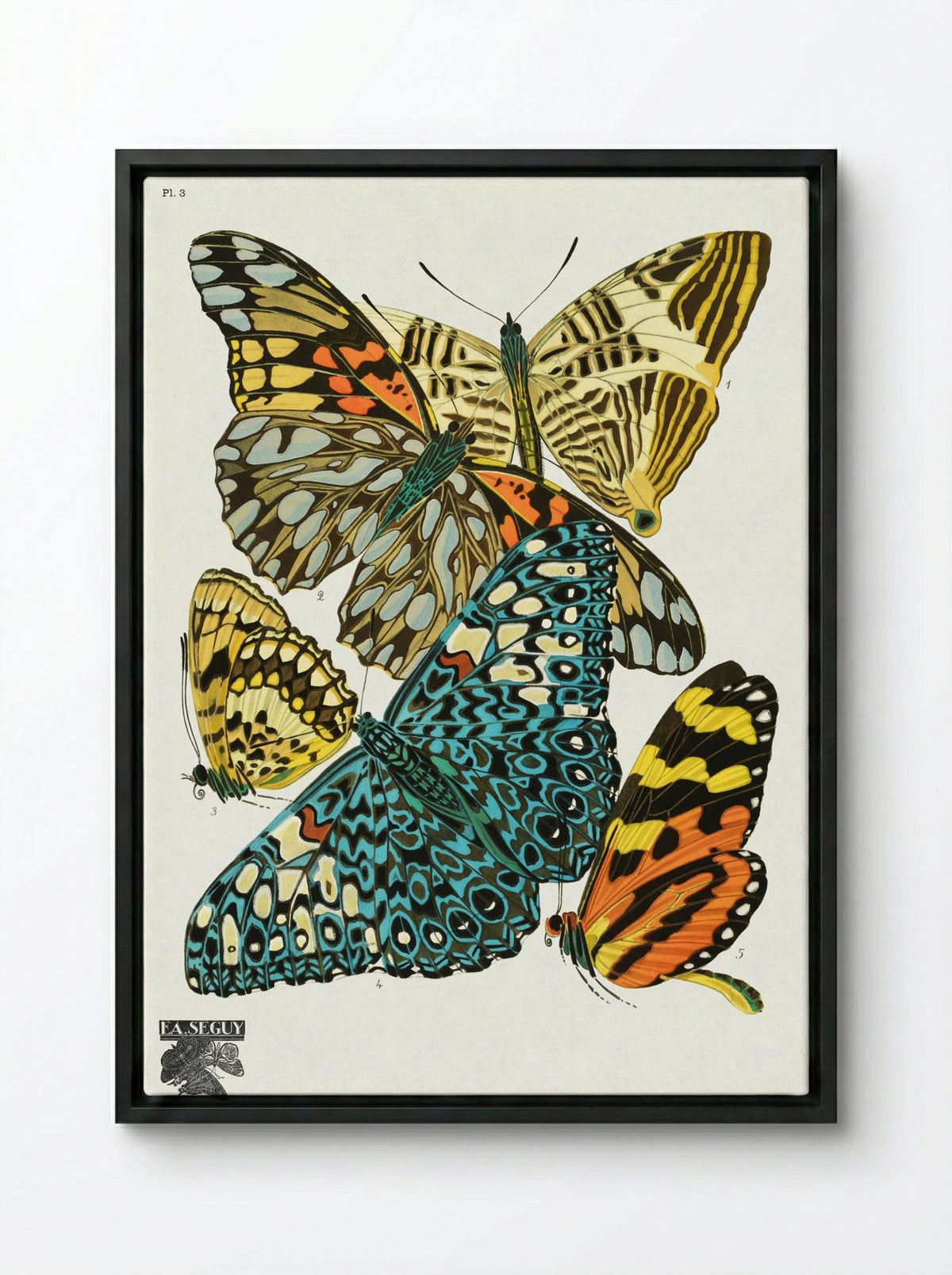 Butterflies, Plate 3 - Émile-Allain Séguy - Framed Canvas Black