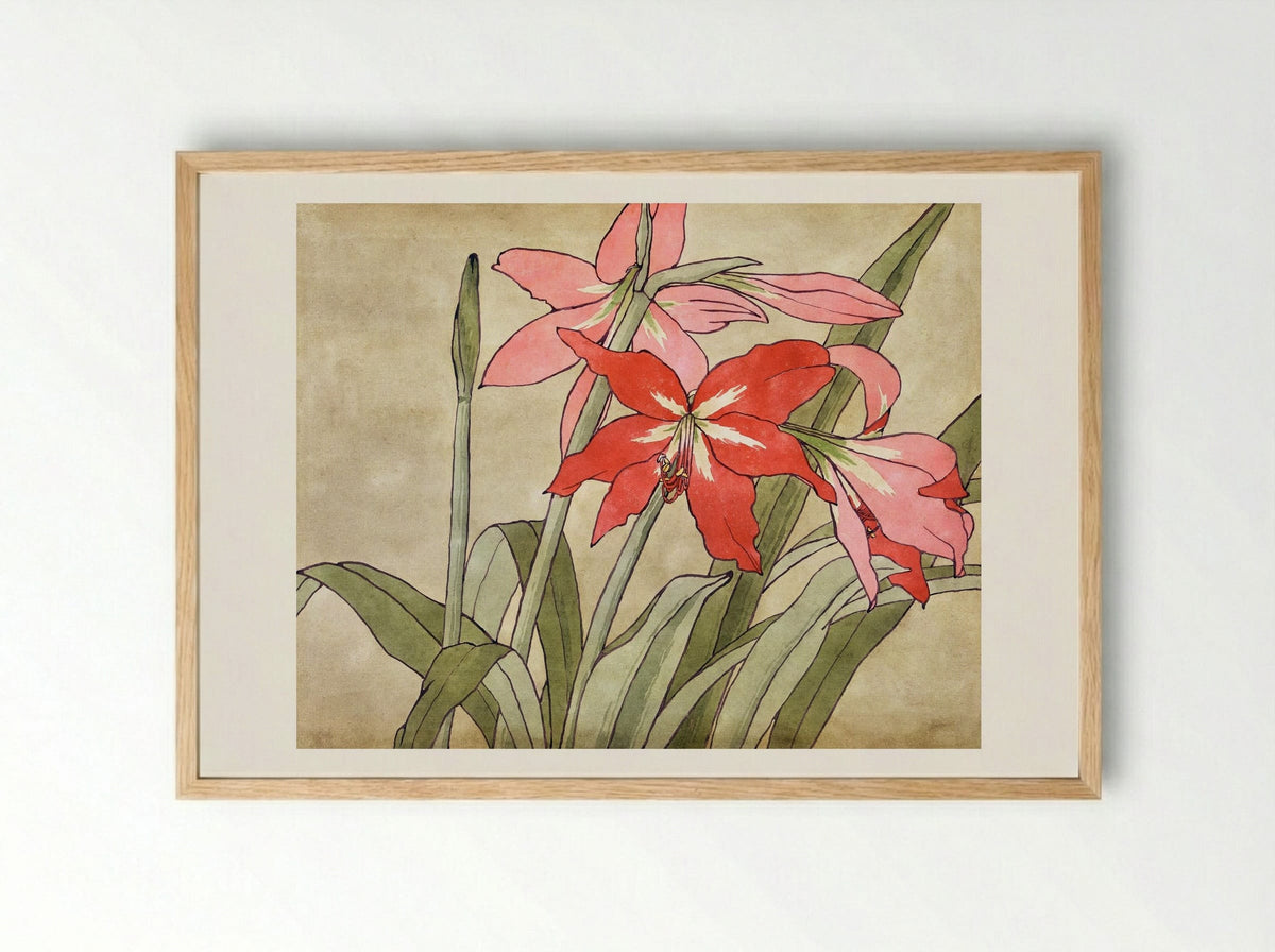 Amaryllis (1915) - Hannah Borger Overbeck - Framed Print Wood