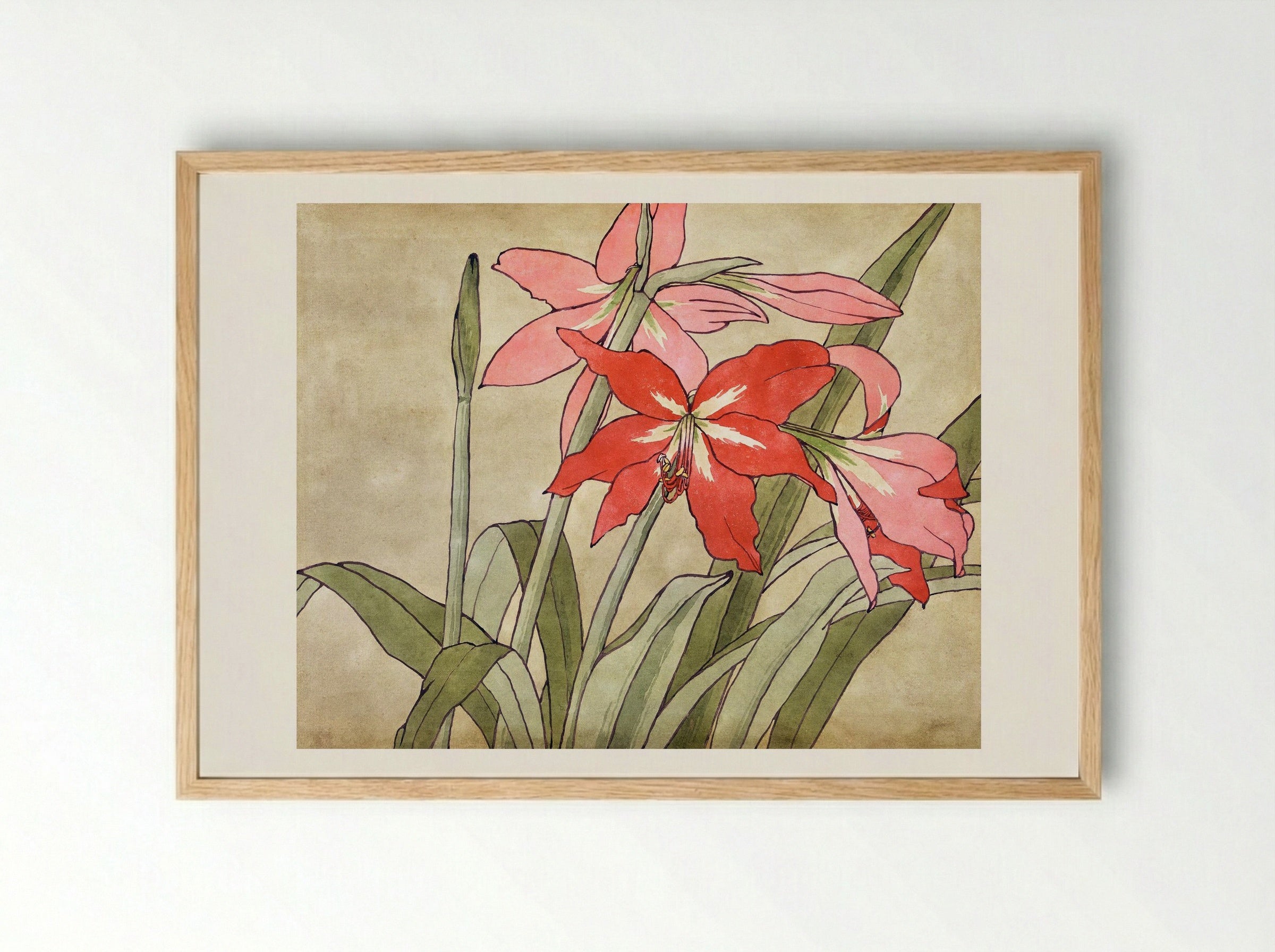 Amaryllis (1915) - Hannah Borger Overbeck - Framed Print Wood