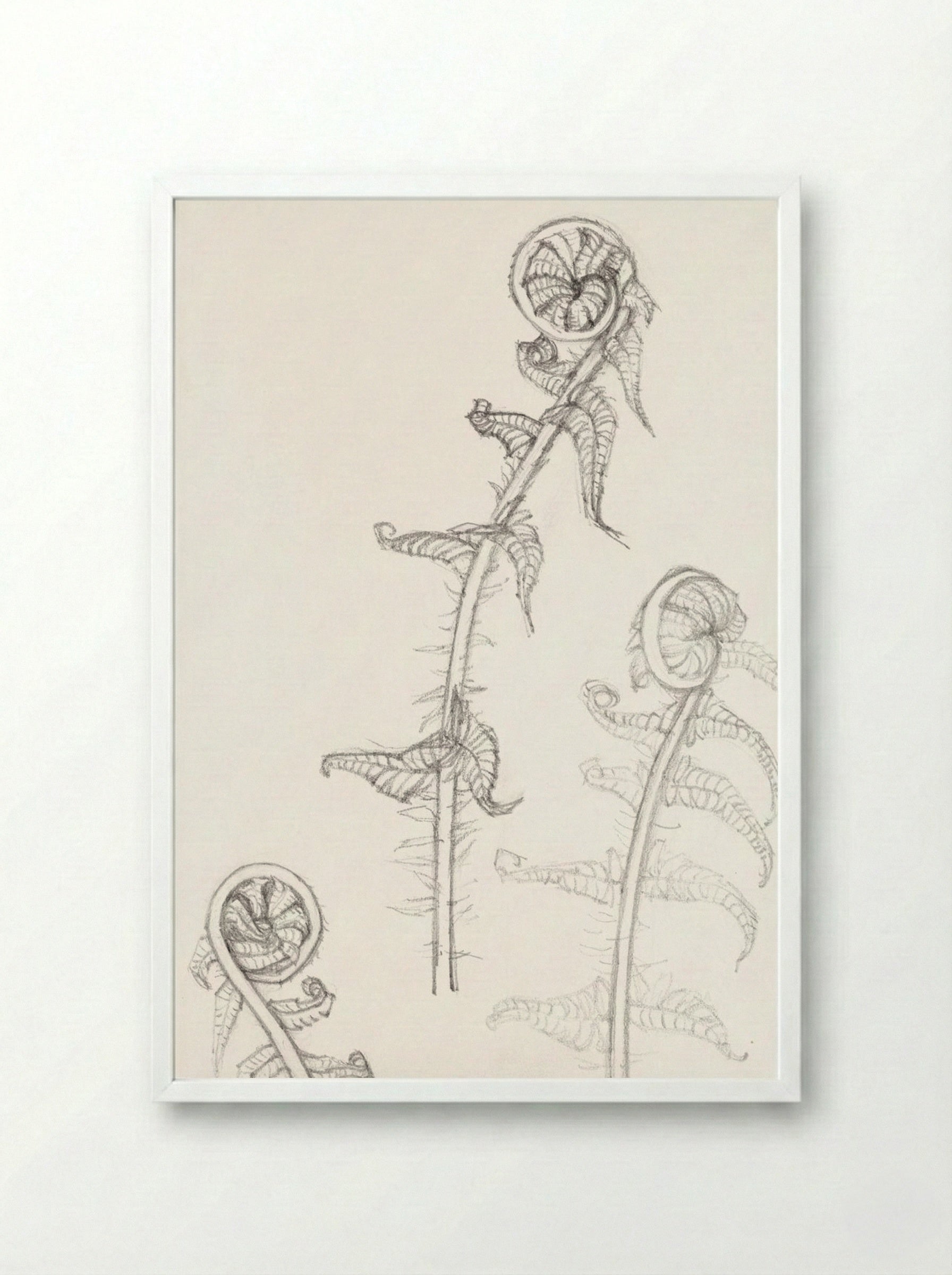 Sketches of Fronds - Julie de Graag - Framed Print White