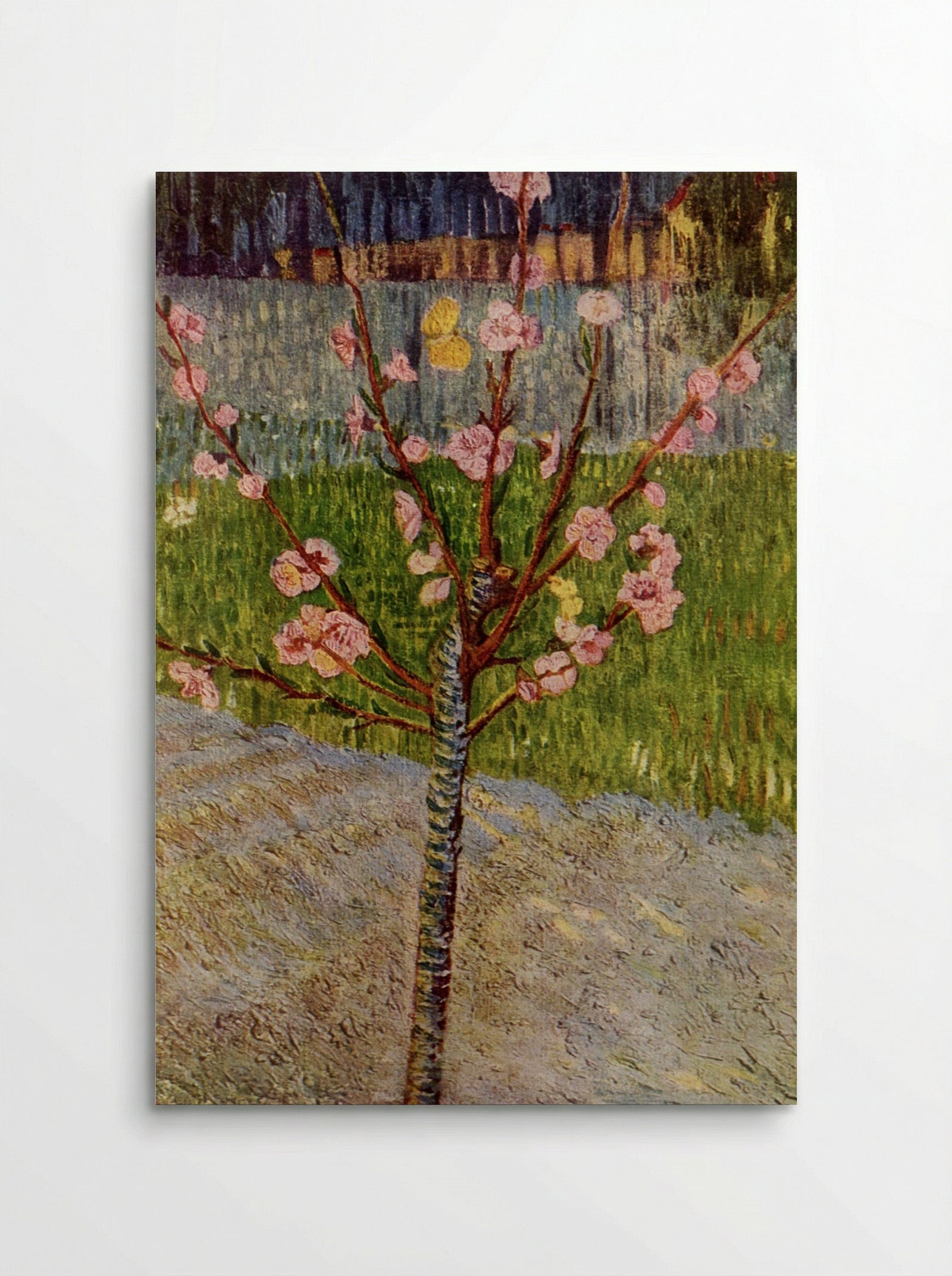 Almond Blossom - Vincent van Gogh