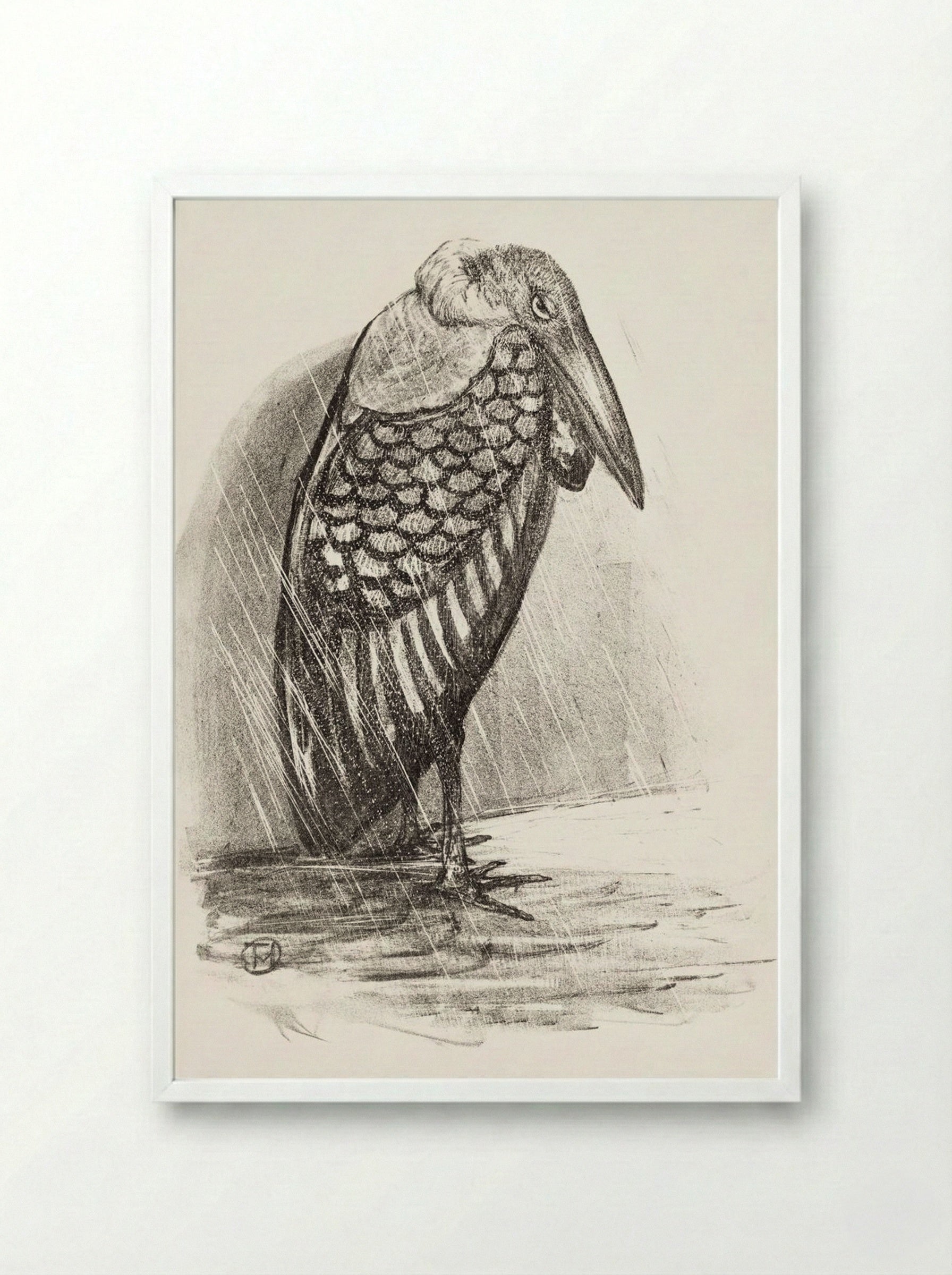 Marabou in the Rain - Theo van Hoytema - Framed Print White