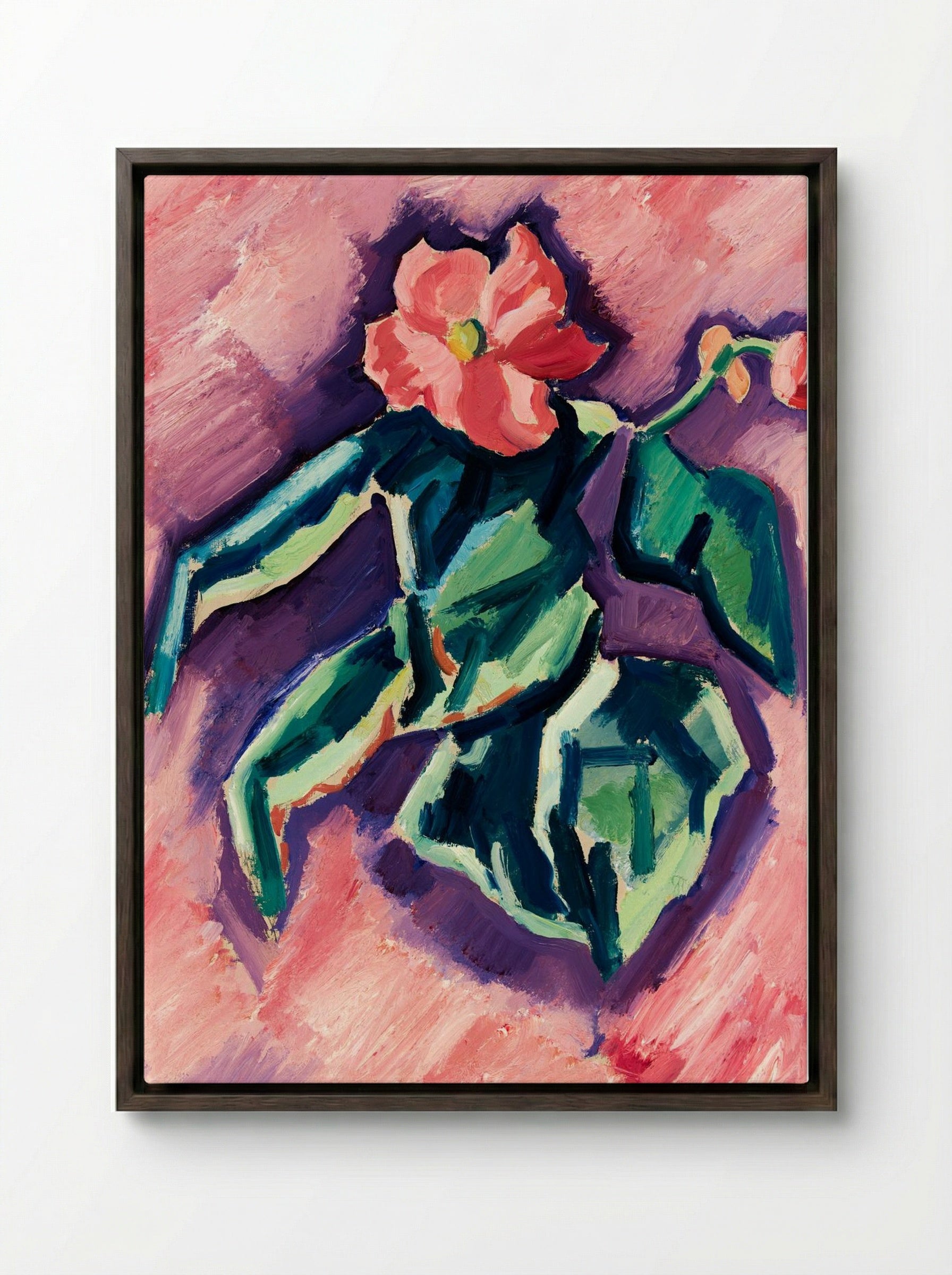 Pink Begonias - Marsden Hartley - Framed Canvas Dark Wood