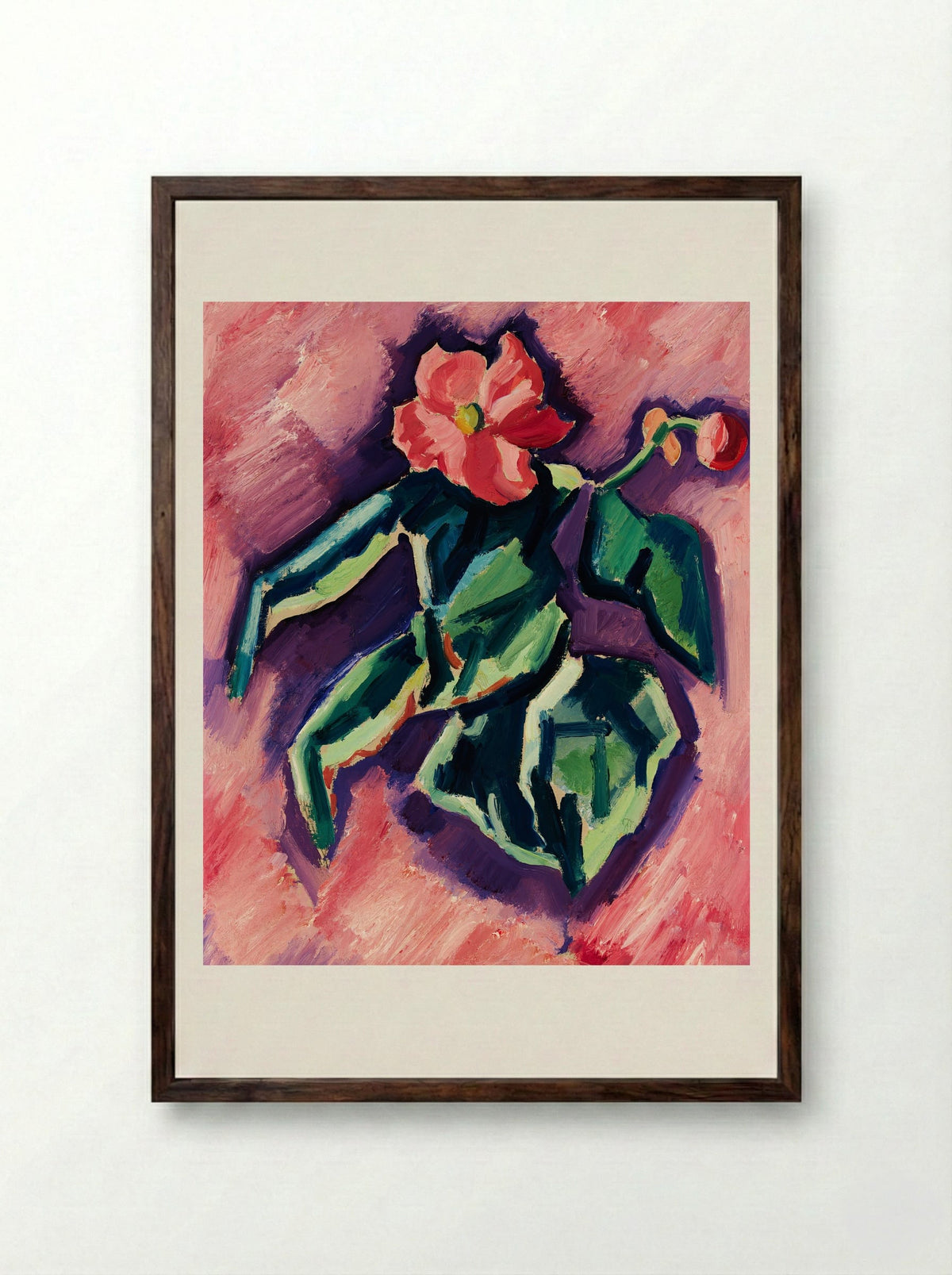 Pink Begonias - Marsden Hartley - Framed Print Dark Wood