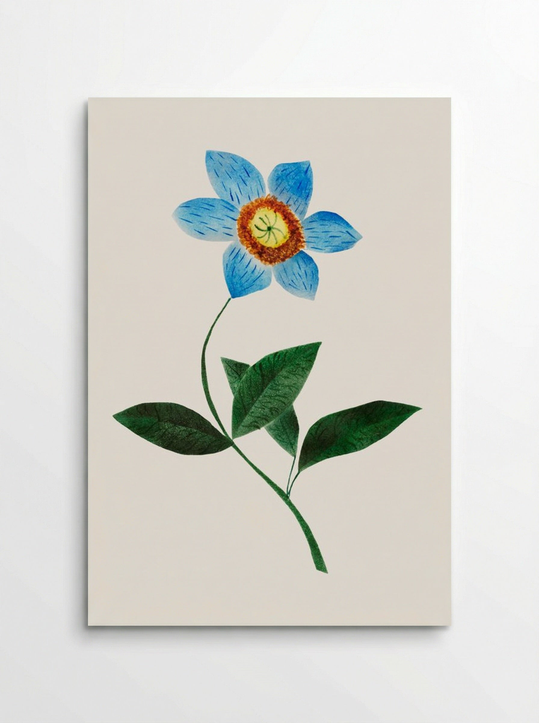 Star Flower - Mary Altha Nims - Poster