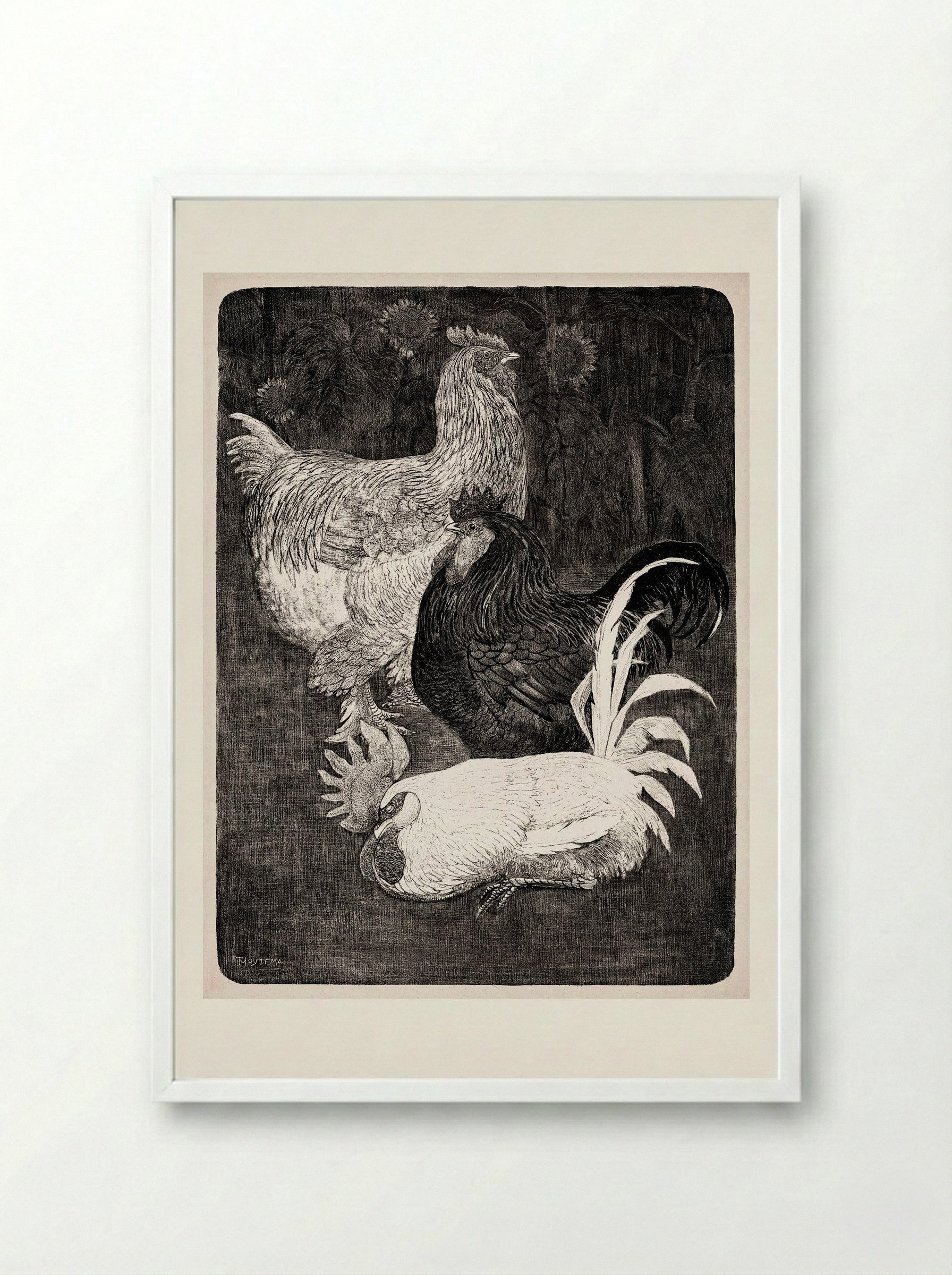 Drie Hanen (Three Roosters) - Theo van Hoytema - Framed Print White