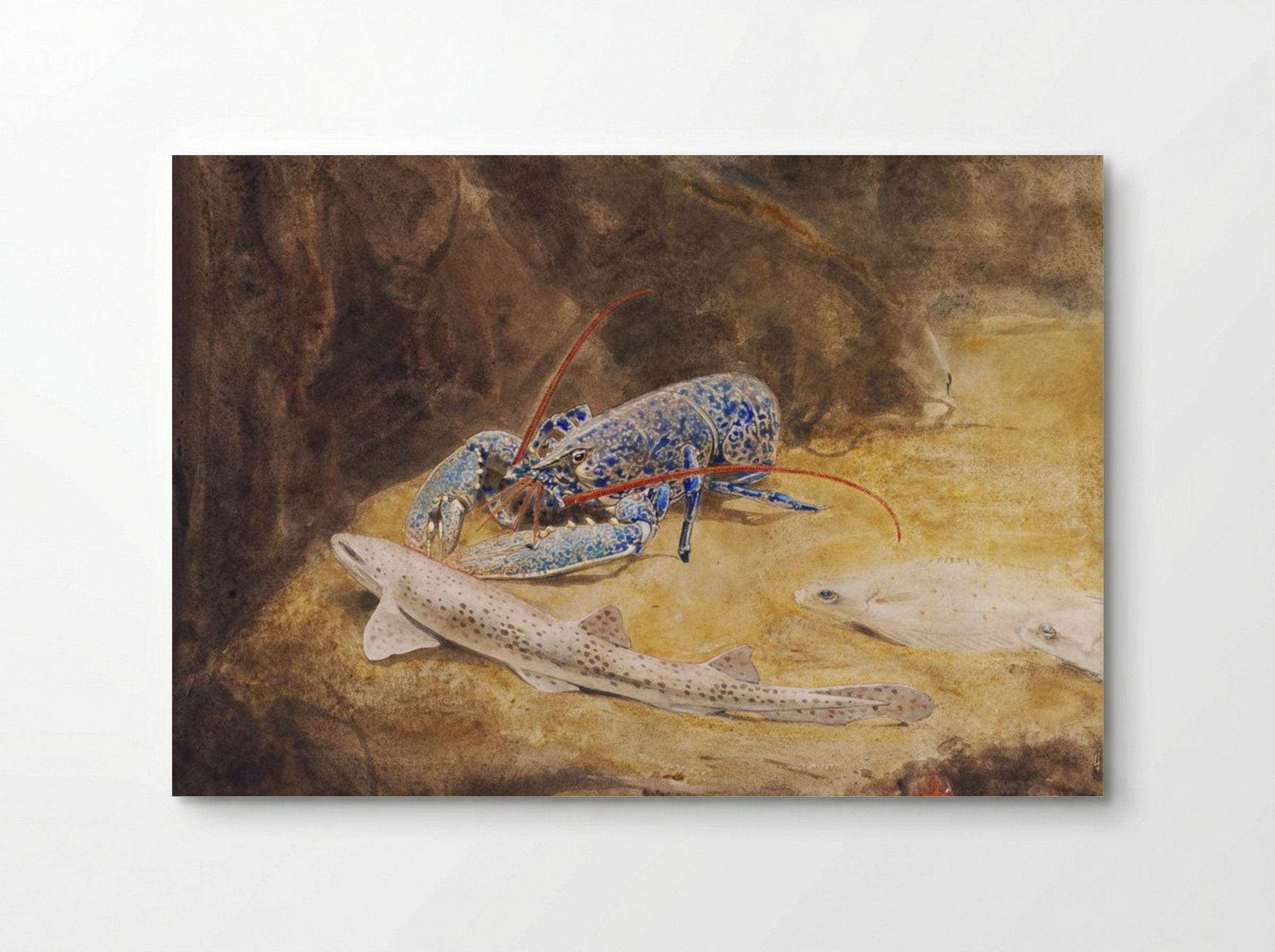 Aquarium with Three North Sea Fish, Lobster, Dogfish and Plaice - Gerrit Willem Dijsselhof - Poster